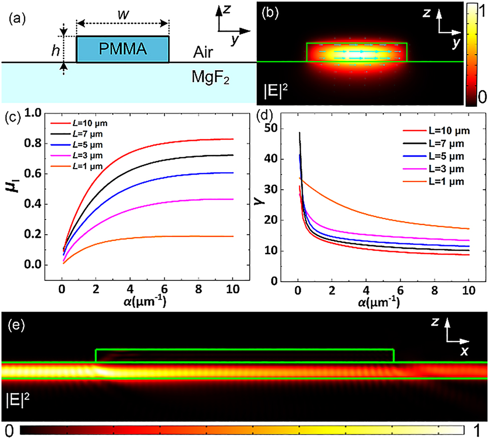 Figure 2:
IPWP method.
(a) Cross-section schematic of the PMMA waveguide. (b) Field distribution |E|2 of the TE
0 waveguide mode supported by the PMMA waveguide at λ = 450 nm. (c) Relationship between the absorption efficiency μ
I and the absorption coefficient α of the gain dielectric strip with different lengths (L) in the IPWP method. (d) The ratio of the absorption efficiencies of the IPWP method and VP method versus the absorption coefficients of gain dielectric strips with different lengths of gain dielectric strips. (e) Field distribution |E|2 at λ = 450 nm in the IPWP method with α = 3 μm−1.