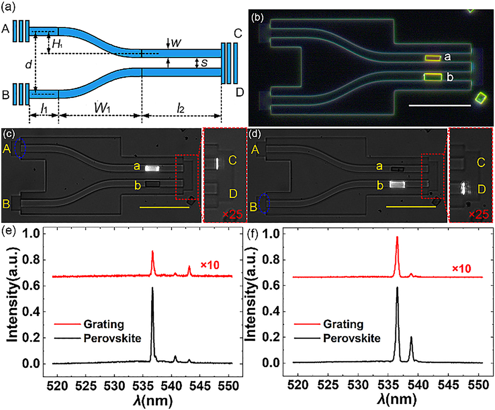 Figure 5:
Selective pumping on-chip microlasers.
(a) Schematic and structural parameters of two adjacent PMMA waveguides. (b) Dark-field optical image of a fabricated structure including two identical PMMA waveguides and two perovskite microplates. The scale bar is 20 μm. Optical images of the fabricated structure when the pump beam is focused on the grating A (c) and grating B (d). The scale bar is 20 μm. The blue dashed ellipses indicate the pump spot. Inset is the zoomed-in image of the decoupling grating. Besides, the exposure time of the inset in right panel is 25 times longer than that of the optical image in left panel. (e) Measured emission spectra at the perovskite microplate a and the grating C. (f) Measured emission spectra from the perovskite microplate b and the grating D.