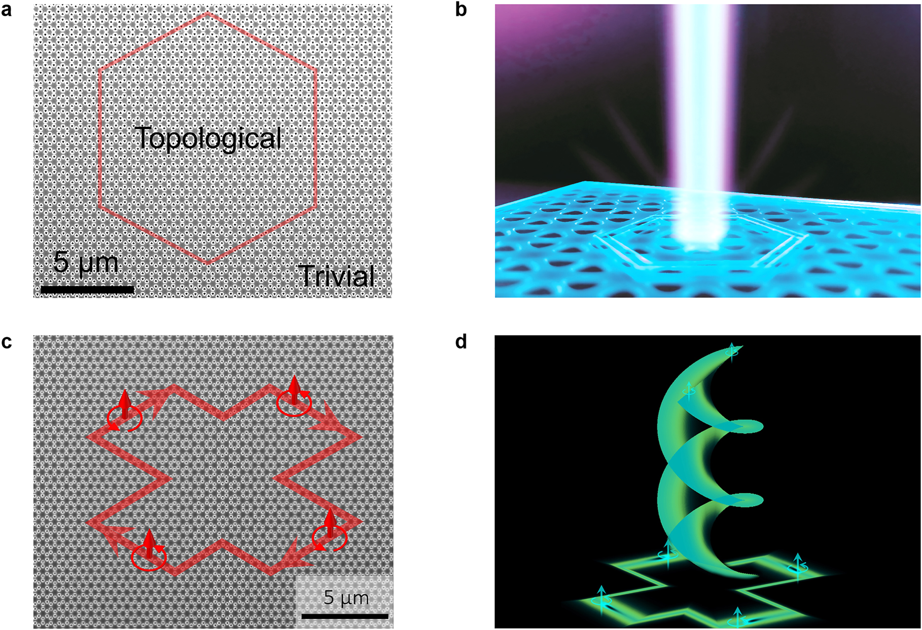 Figure 8: 
Topological bulk laser and topological vortex laser.

a SEM image of a topological bulk laser based on band-inversion-induced reflection. b Schematic of a topological bulk laser with vertical emission. c SEM image of a topological vortex laser based on spin-momentum locked edge modes. d Schematic of a topological vortex laser with vortex emission. Figure adapted [52, 53].
