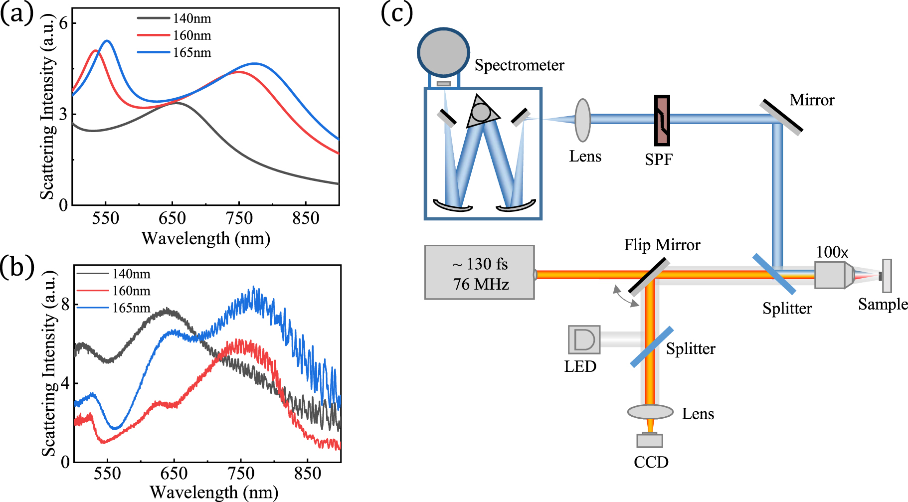Figure 2: 
The characterization of the scattering spectra for LN nanosphere. (a) Simulated and (b) experimental scattering spectra of LN nanospheres with different radii. (c) Detection set up for collection of SHG signals from LN nanospheres. The fs incident laser beam is focused on the sample by an objective lens. The reflected incident laser is filtered by a short-pass filter (SPF) and then the backscattered SHG signal is collected by the spectrometer.
