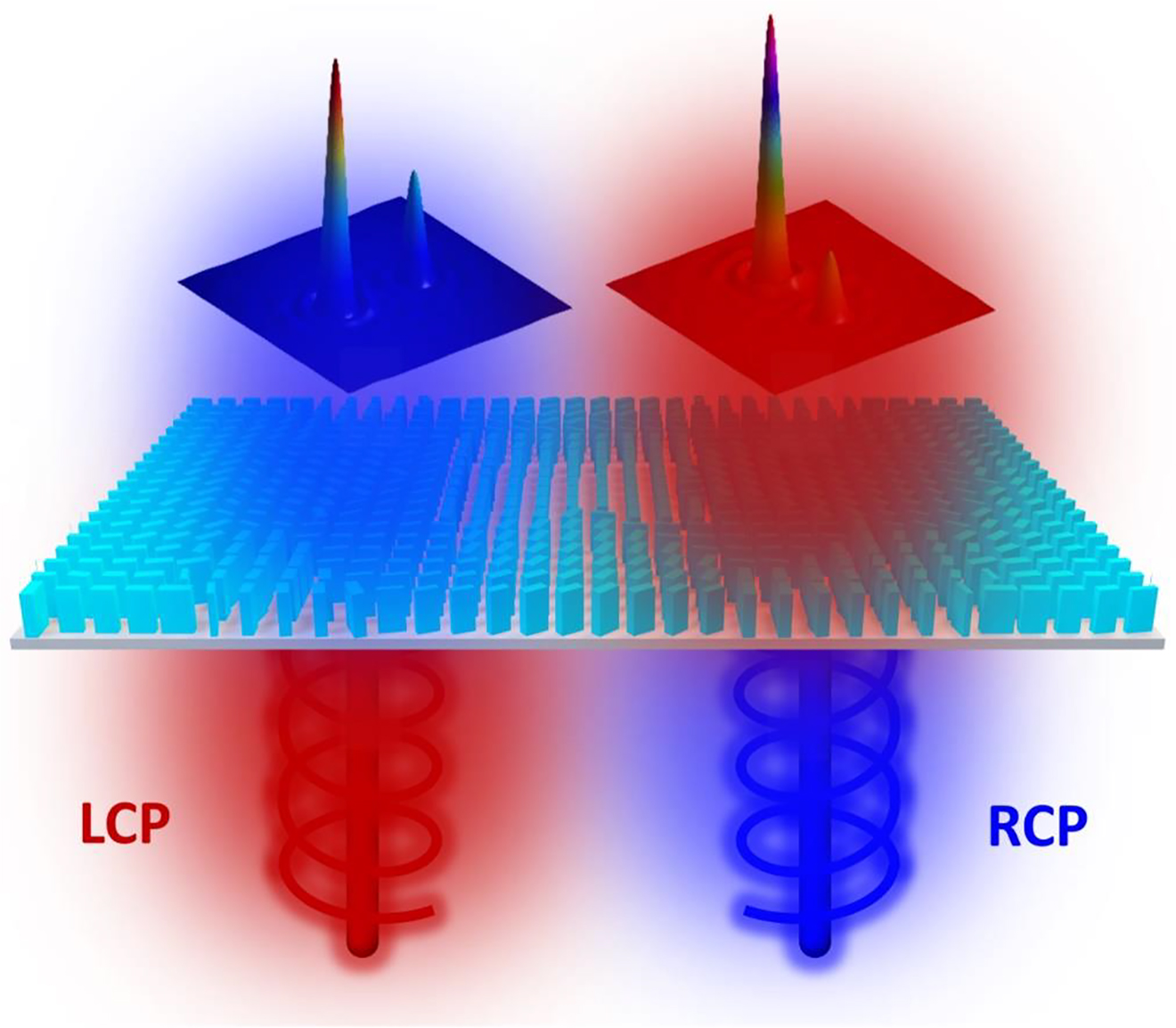Figure 1:
The schematic of a bifunctional metasurface with complete amplitude and phase modulation.
For the LCP incidence, the transmitted RCP field contains two foci with an amplitude ratio of 3:2 along x axis. For the RCP incidence, the transmitted LCP field contains two foci with an amplitude ratio of 2:1 along y axis.