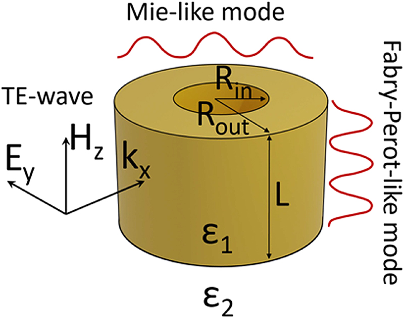 Figure 1: 
TE- and TM-polarized waves incident on a dielectric ring resonator with permittivity ϵ
1 = 80, inner radius R
in, outer radius R
out, and thickness L. The ring is placed in the vacuum, ϵ
2 = 1.
