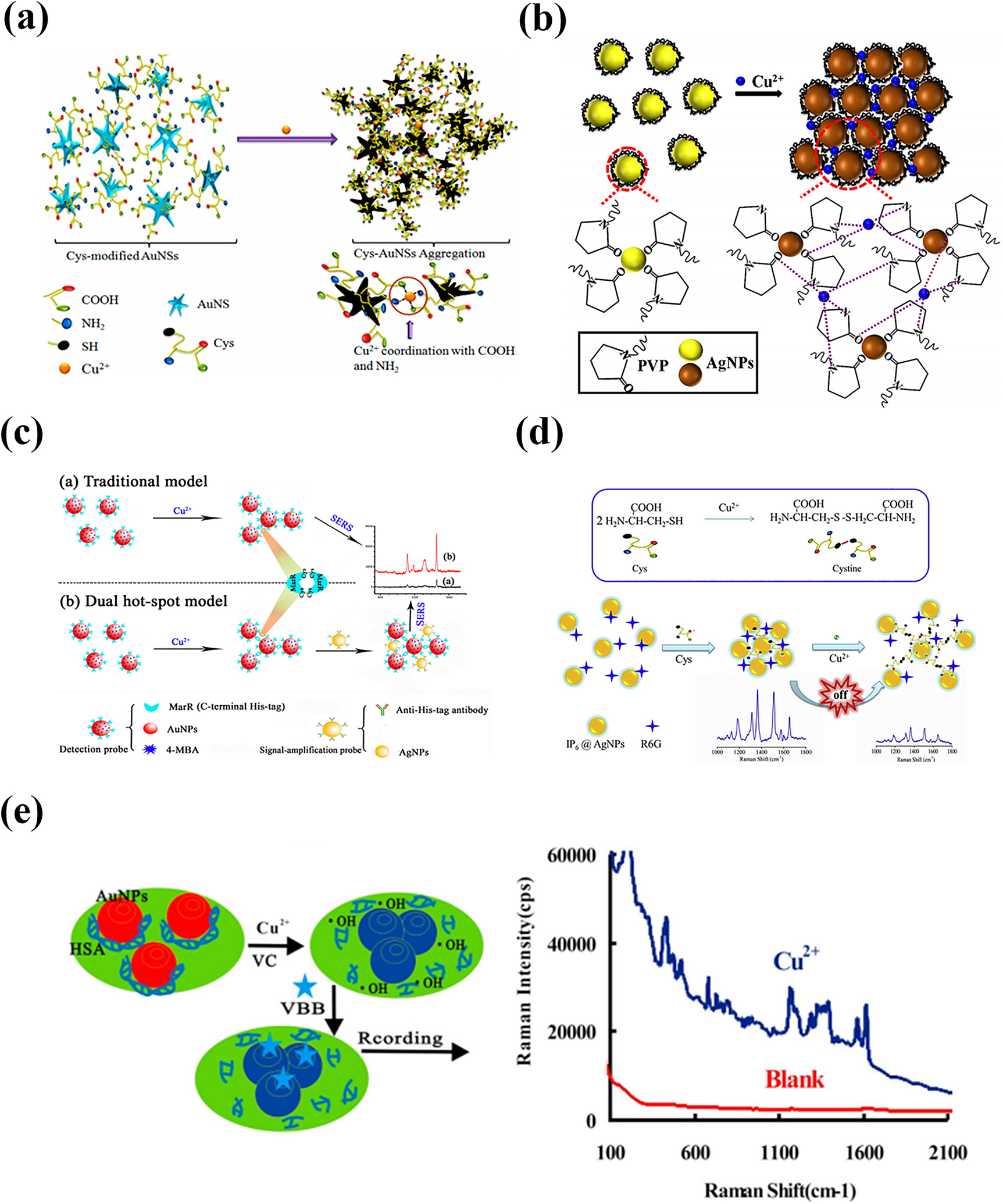 Figure 4: 
SERS-based Cu2+ ions detection.
(a) Cu2+ ions bond with cysteine [72]. (b) Cu2+ ions linked with PVP [77]. (c) A dual hot spot signal amplification strategy based on antigen–antibody reaction [78]. (d) Cu2+ ions oxidized l-cysteine to cystine [79]. (e) Taking place catalytic reaction and generating strongly oxidizing • OH in the presence of Cu2+ ions [82].
