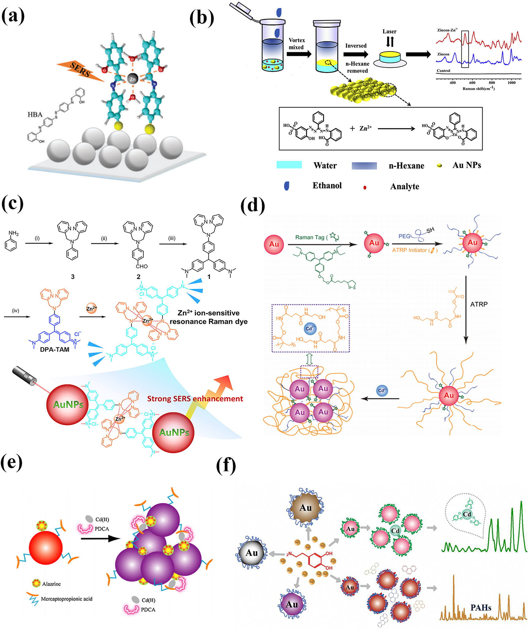 Figure 6: 
Different SERS sensors for detection of Zn2+ and Cd2+ ions. (a) Zn2+ ions coordinated with HBA on Ag nanofilm [111]. (b) Zn2+ ions bond to the Zincon on the surface of the liquid–liquid self-assembled AuNAs [115]. (c) DPA-TAM-AuNP self-assembly system to detect Zn2+ ions [114]. (d) Cd2+ ions combined with HEBAMA [116]. (e) Initial alizarin adsorption, and subsequent MPA-PDCA conjugation on the surface of AuNPs [117]. (f) Simultaneous detection of Cd2+ ions and PAHs according to the oxidation of dopamine through a classic Raper–Mason reaction mechanism [118].
