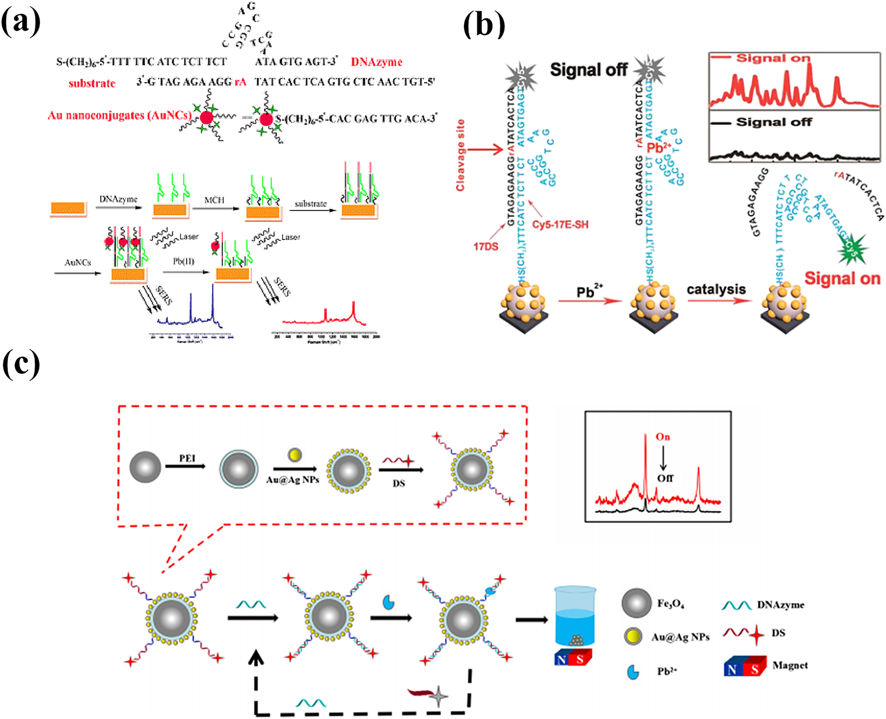 Figure 7: 
Determination of Pb2+ ions via Pb2+-dependent DNAzyme. (a) Pb2+ ions bond specifically to the DNAzyme on the gold-plated surface [126]. (b) Cy5 was close to the metal nanoparticles due to the activation of complexation between Pb2+ ions and DNAzyme [127]. (c) Highly sensitive detection of Pb2+ ions using DNAzyme-modified Fe3O4@Au@AgNPs [128].
