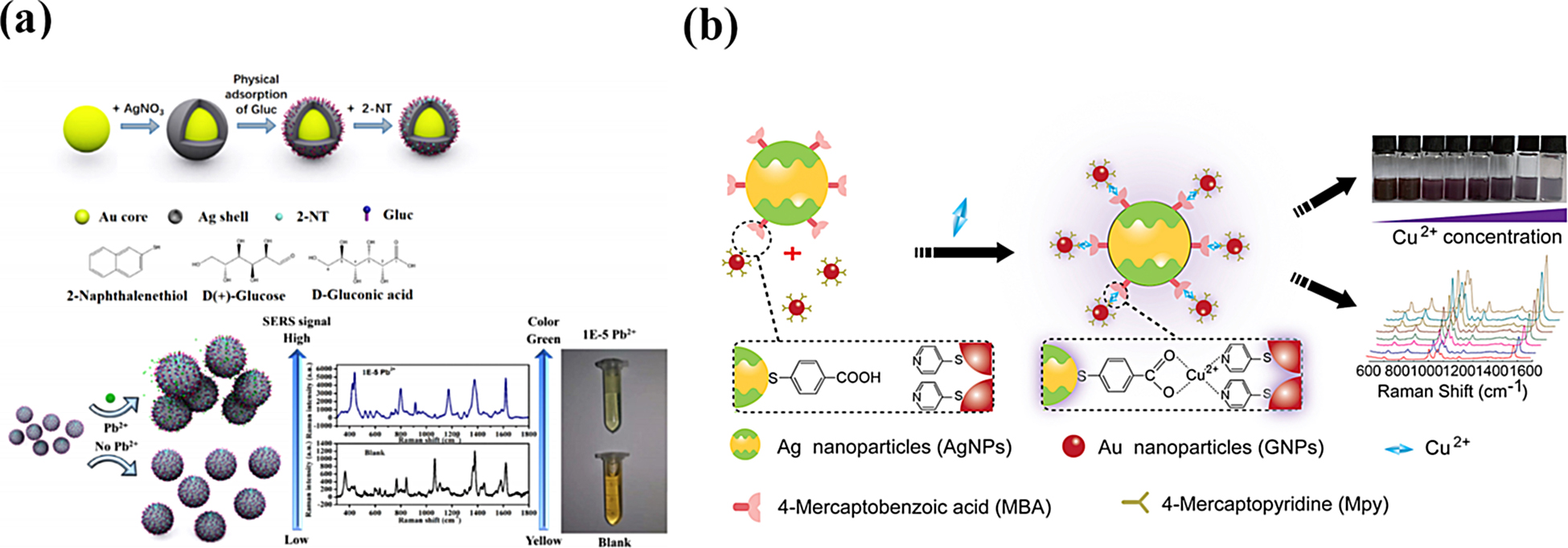Figure 10: 
Colorimetric and SERS dual-mode strategies for the detection of heavy metal ions. (a) A colorimetric and SERS dual-mode strategy for the determination of Pb2+ ions based on Au@AgNPs functionalized with Gluc and 2-NT [130]. (b) Colorimetry/SERS dual-channel sensor for trace analysis of Cu2+ ions based on AgNPs–Cu2+–GNPs core–satellite structures [143].
