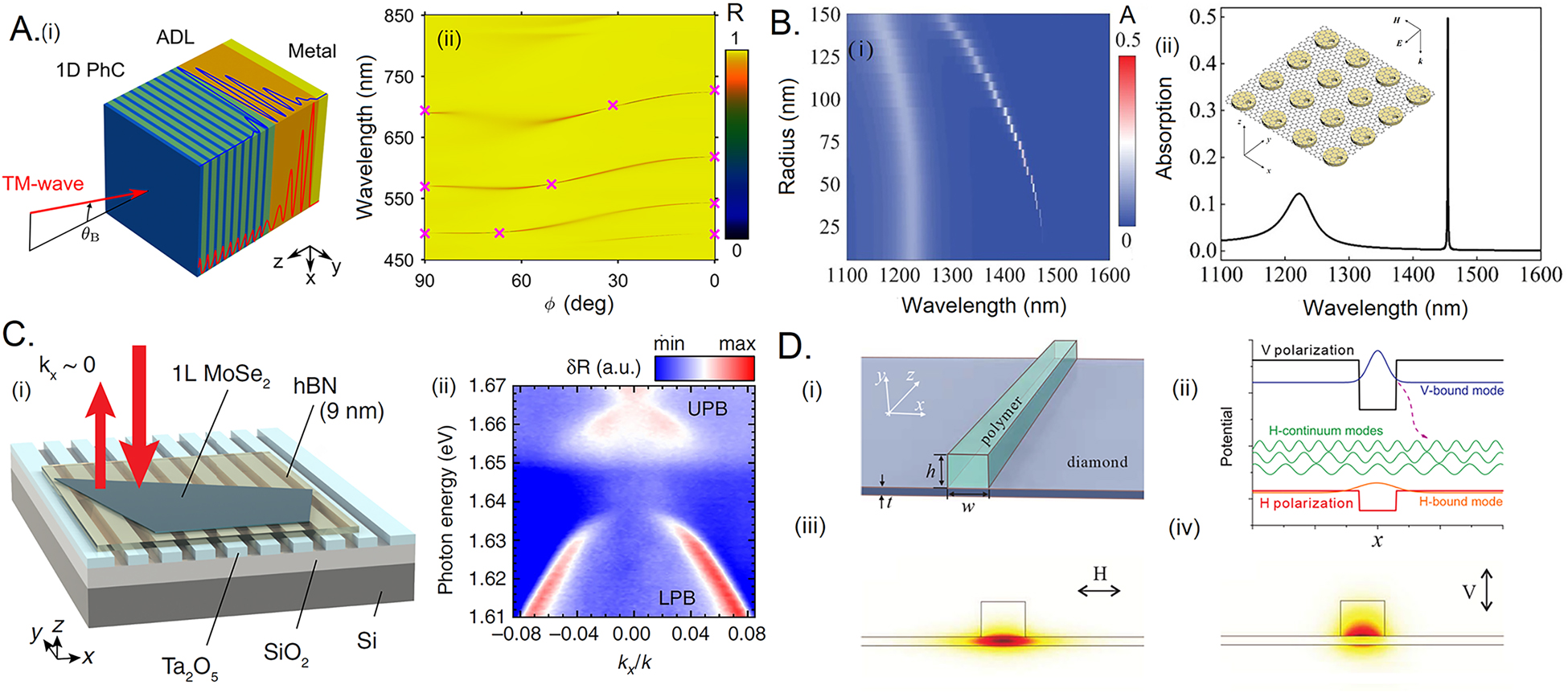 Figure 5: 
Hybrid photonic BICs.
(A) (i) the anisotropic defect layer embedded in a layered PhC, and (ii) the BIC modes achieved by Brewster’s angle tilting. Reprinted from ref. [126]. (B) 2D graphene layer hybrid metasurface (i) absorption with parameter tuning and, (ii) maximum absorption is recorded when the critical coupling is achieved through BIC modes. Reprinted from ref. [131]. (C) (i) Picturization of hybrid MoSe2-PhC structure, (ii) angle-resolved reflectance spectra of the hybrid geometry, the splitting of upper and lower polariton branches due to strong coupling between the MoSe2 exciton and the photonic mode in the PhC slab. Reprinted from ref. [138]. (D) Schematic representation of low-refractive-index polymer on the high-refractive-index substrate (diamond), (ii) the emerged hybrid photonic BIC with minimal loss in the vicinity of the continuum of modes, (iii and iv) mode profiles. Reprinted with permission from ref. [142] Copyright © 2014 by WILEY‐VCH Verlag GmbH & Co. KGaA, Weinheim.
