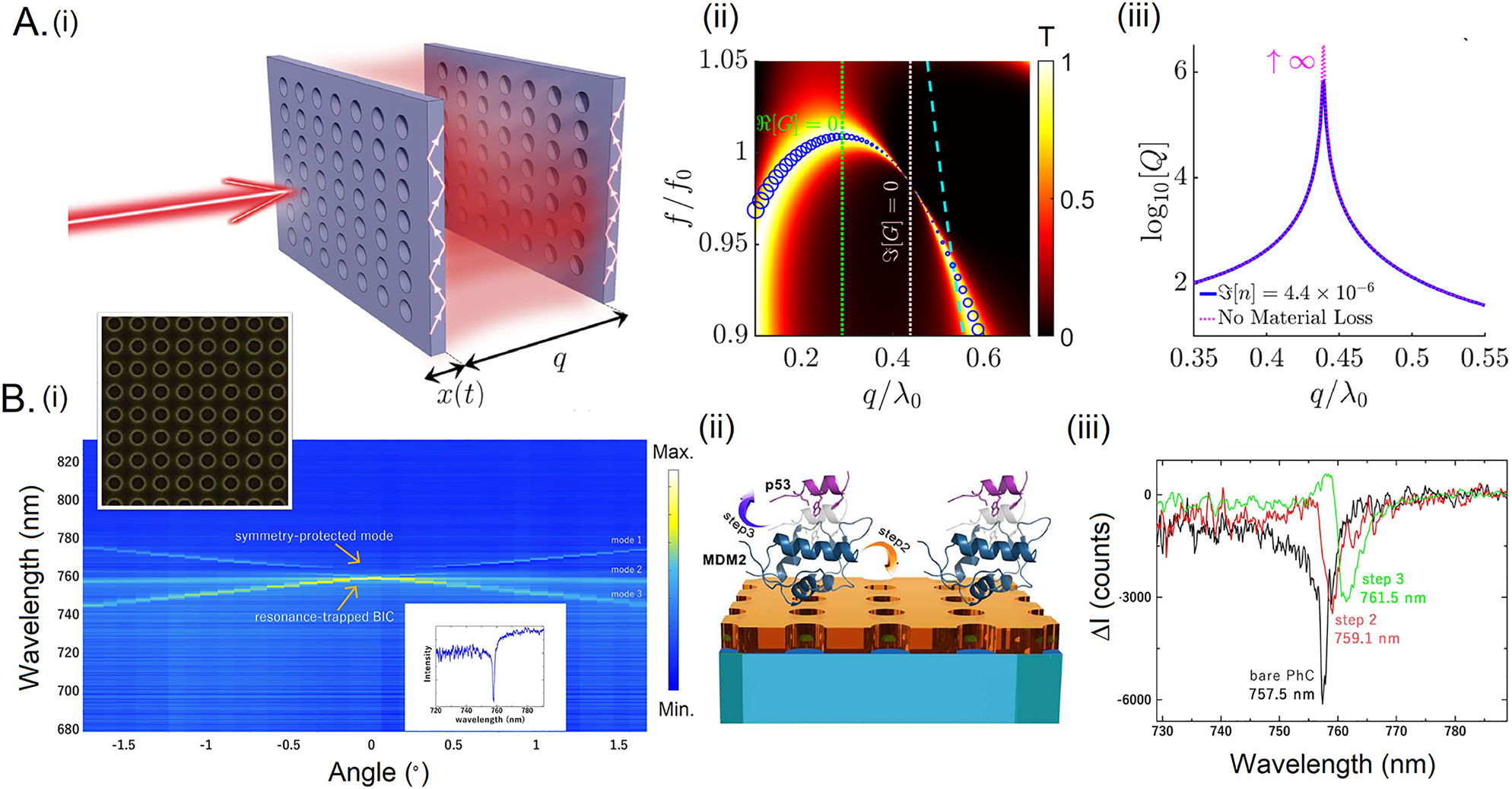 Figure 8: 
BIC modes for cavity design, and sensing.
(A) (i) Schematic of the double-photonic crystal slab cavity, (ii) transmittance map against frequency and slab separation for the optimized cavity period and air-hole radius for the BIC formation (ii) quality factor of the cavity eigenmodes close to the BIC. Reprinted from ref. [255]. (B) (ii) The dispersion band diagram of 2D-PhC shown in the inset, (ii) bio-detection scheme, (iii) sensitivity calculations. Reprinted from ref. [222].
