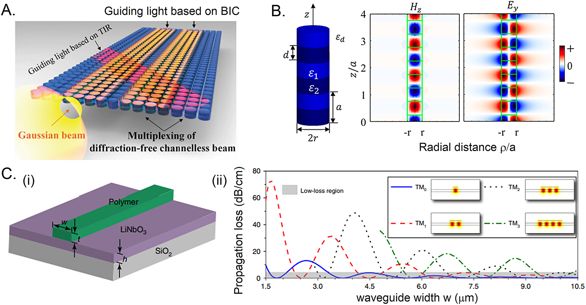 Figure 10: 
BIC modes for guiding and communication.
(A) Schematic illustration of perfect reflection-based guiding of BIC mode. Reprinted with permission from ref. [214] Copyright © 2020 American Physical Society. (B) (i) BIC supported by the fiber Bragg gratings and (ii) fiber BIC mode profile [215]. (C) (i) waveguide structure composed of a low-refractive-index polymer stripe patterned on high-refractive-index LiNbO3 layer, (ii) propagation loss of the TM0, TM1, TM2, and TM3 modes in the waveguide as a function of the waveguide for each mode, the BICs exist in the low-loss region as marked in the gray region. Reprinted from ref. [144].
