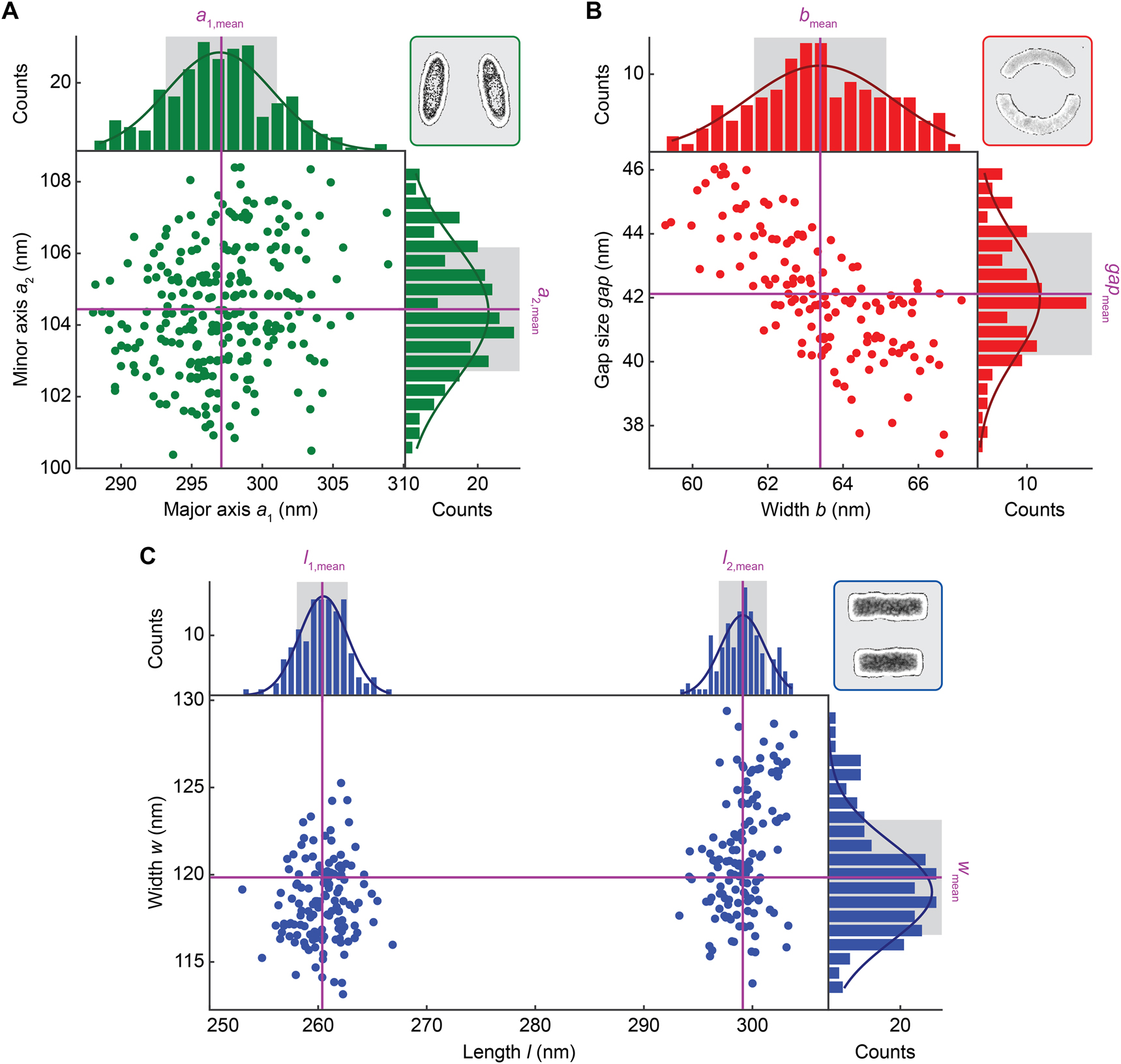 Figure 4: 
Evaluation of fabrication-induced variation of resonator geometry.
Structural analysis output of resonator dimensions for the tilted ellipse (A), split ring (B) and double rod (C) unit cell designs, all of which show a Gaussian distribution of their geometric parameters.
