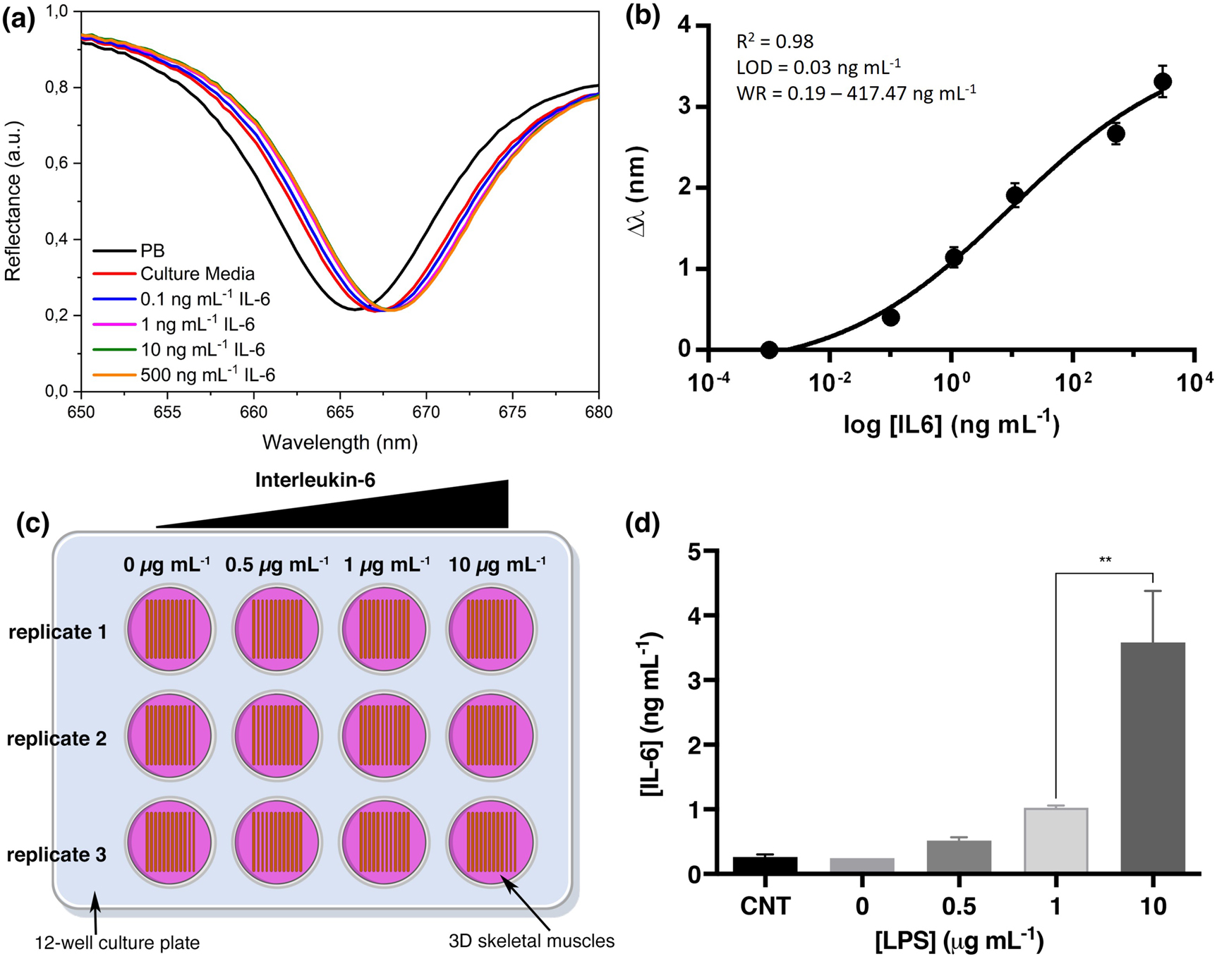 Figure 5:
IL-6 biodetection in 3D skeletal muscle supernatants by 1D plasmonic nanocrystals.
(a) Plasmonic band displacement with different concentrations of spiked cell culture media in an additive assay. (b) Calibration curve for the detection of the IL-6 in cell culture media supernatants (n = 2). (c) Schematic representation of the stimulation assay of 3D skeletal muscle tissues with different concentrations of endotoxins. (d) IL-6 secretion changes with the concentration of endotoxins.