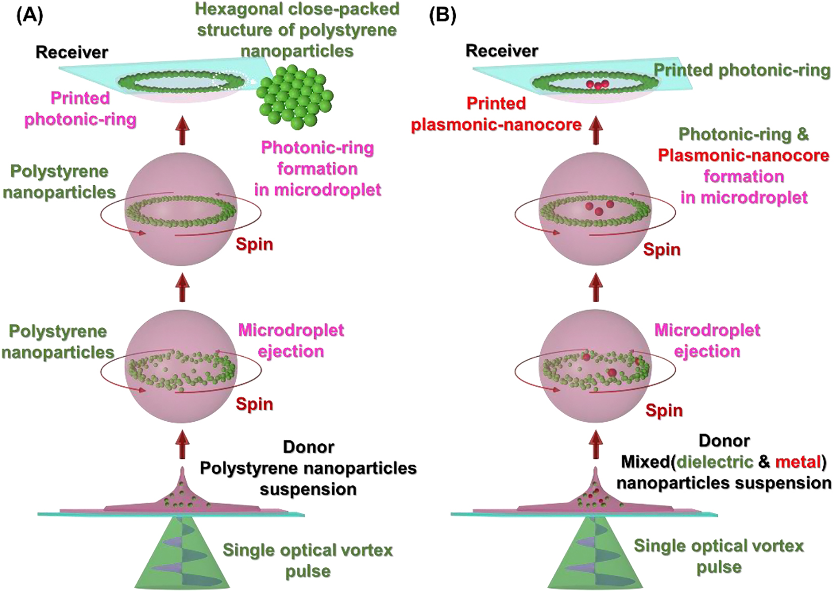 Teaser image from the article