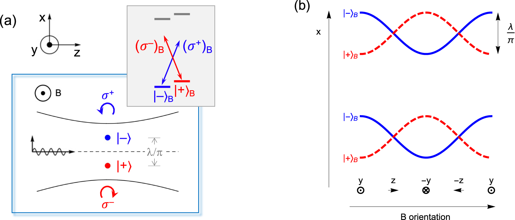 Teaser image from the article