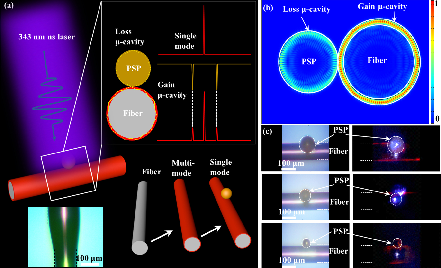 Figure 1: 
Mechanism of mode selection in the coupled μ-cavity.
(a) A schematic illustration of the fabrication progress and mode selection in hybrid 2D–3D μ-cavity. (b) Numerically simulated electric field distribution of the modes in the coupled system, indicating the mode selection mechanism in the coupled resonators. (c) The optical images of bright field (left) and dark field (right) and the same diameter of polymer fiber with different diameters of PSP.
