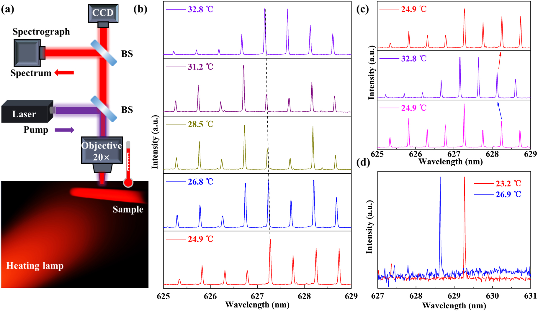Figure 5: 
Tunability of the WGM peak wavelength for temperature sensing.
(a) Schematic diagram of the temperature sensing experimental setup. Inset: schematic diagram wavelength tuning achieved by controlling the environment temperature (



°
C



${\degree}\text{C}$



). BS: beam splitter. (b) The evolution of PL spectrum is blue-shifting with increasing temperature. (c) The temperature sensor is reversible. (d) The single-mode is blue-shifting with increasing the environment temperature ranging from 23.2 



°
C



${\degree}\text{C}$



 to 26.9 



°
C



${\degree}\text{C}$



 in hybrid 2D–3D μ-cavity.
