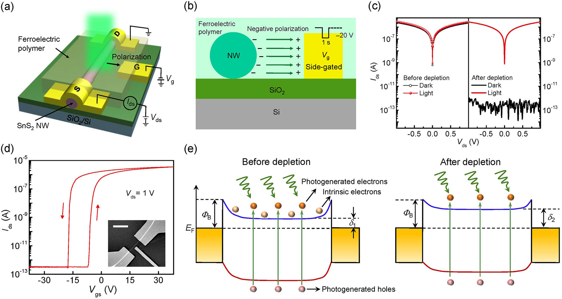 Figure 3: 
Schematic diagrams, polarization characteristics and energy band diagrams of ferroelectric side-gated single SnS2 NW photodetector. (a) Schematic illustration of ferroelectric side-gated single SnS2 NW photodetector. (b) The cross-sectional structure and schematic diagram of the device in negative polarization state. (c) Before and after being depleted by the ferroelectric polymer film, I
ds–V
ds characteristics of the device in the dark and upon illumination (520 nm, 11 mW cm−2). (d) I
ds–V
gs transfer curves of the device with local field regulation by P(VDF-TrFE) ferroelectric polymer and side-gated voltage. The inset is the SEM image of the SnS2 NW side-gated FET. (e) Energy band diagrams before and after depletion. E
C is the minimum conduction band energy, E
V is the maximum valence band energy, E
F is the Fermi level energy, Φ
B is the Schottky barrier height, and δ is the height from bottom of conduction band to the Fermi level energy. The bottom of E
C rises upward and δ increases after being depleted.

