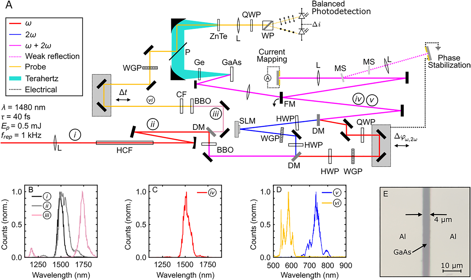Figure 1:
Experimental set-up. (A) The signal beam from an optical parametric amplifier (OPA) is spatially filtered and spectrally broadened using a hollow core fiber (HCF) in ambient air. A dichroic mirror (DM) transmits the spectral wings and reflects the primary spectral content. The reflected light is frequency-doubled using a
β
-
$\beta -$
barium borate (BBO) crystal. A two-color interferometer is used to control the relative phase between these two colors of light and impart structure to the
2
ω
$2\omega $
beam using a SLM. The blue spectral tail of the broadened spectrum is frequency-doubled to generate a probe pulse for electro-optic sampling (EOS). A flipper-mirror (FM) is used to direct the bichromatic fields to either an optoelectronic detector for spatio-vectorial current mapping or a GaAs substrate for terahertz generation and EOS. L: Lens; HWP: half-wave plate; WGP: wire grid polarizer; QWP: quarter-wave plate; MS: microscope slide; P: pellicle; WP: Wollaston prism; CF: color filter. (B) Measurement of the OPA spectrum before (black) and after (gray) the HCF. The spectral wings transmitted through the DM are plotted in light pink. (C) The fundamental
(
ω
)
$\left(\omega \right)$
laser pulse after the two-color interferometer. (D) The
2
ω
$2\omega $
laser pulse after the two-color interferometer (blue) and the probe pulse for EOS (yellow). (E) Optical micrograph of the active component of the optoelectronic detector used for spatio-vectorial current mapping. The substrate consists of a 1.2-
μm
$\mathrm{\mu m}$
-thick LT-GaAs film grown on a GaAs substrate. Two large aluminum electrodes separated by a 4
-
μm
$-\mathrm{\mu m}$
gap are deposited onto the LT-GaAs surface.