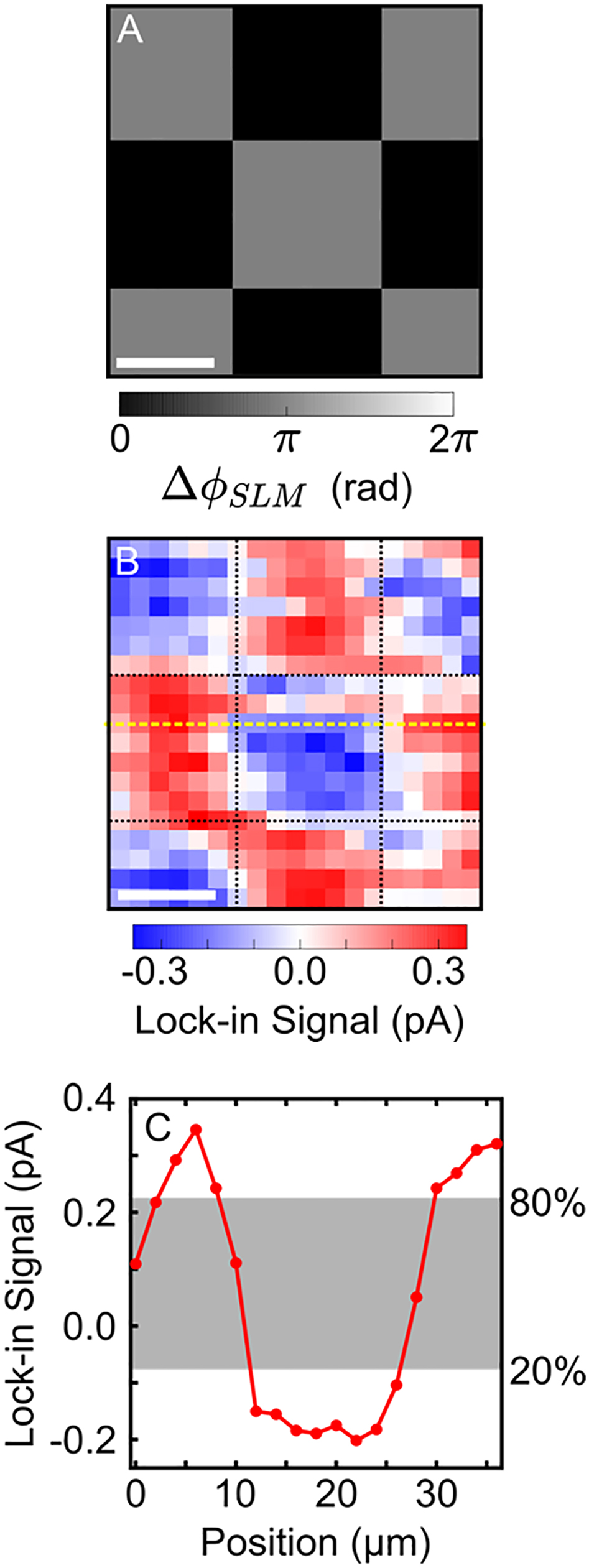 Figure 3:
Wavelength-scale control and measurement of currents. (A) Checkerboard SLM pattern used to control micron-scale currents. The scale bar represents
50
μm
$50\mathrm{\,\mu m}$
. (B) Spatial mapping of the x-component of the current measured using the optoelectronic detector. The scale bar represents
10
μm
$10\mathrm{\,\mu m}$
. (C) Plot of the yellow line-out shown in (B). The gray shaded region portrays the region over which the current signal grows from 20 to 80% of its peak-to-peak amplitude.