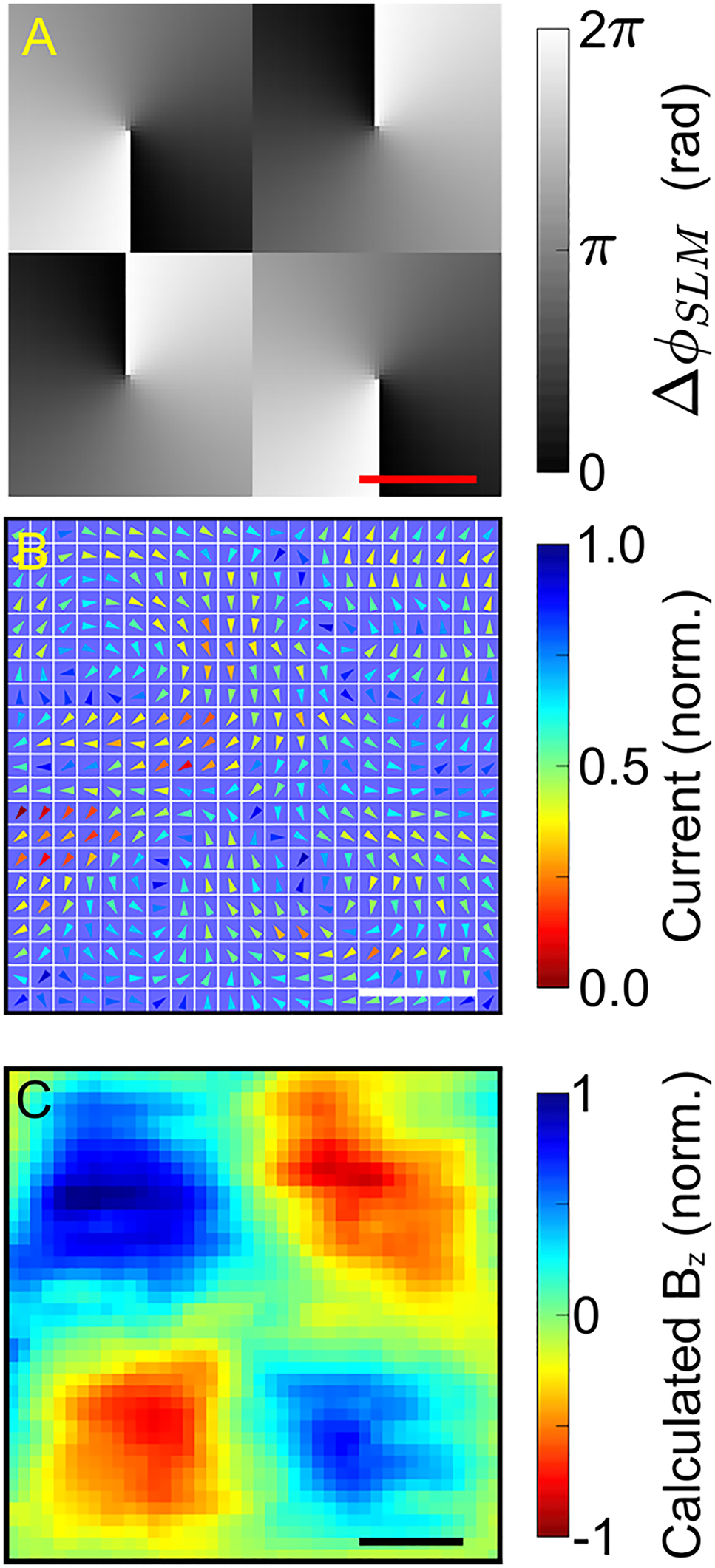Figure 4:
Control of magnetic field lattices. (A) The SLM pattern used to control magnetic fields. Each conical gradient controls a ring current and magnetic field at the corresponding lattice site. The scale bar represents
100
μm
$100\mathrm{\,\mu m}$
. (B) Measured spatio-vectorial current arrangement, where a
2
×
2
$2{\times}2$
array of ring currents is resolved. The scale bar represents
20
μm
$20\mathrm{\,\mu m}$
. (C) A calculated snapshot of the magnetic field resulting from the dynamic current arrangement plotted in (B). The snapshot is calculated 100 fs after the laser pulse excitation. The scale bar represents
20
μm
$20\mathrm{\,\mu m}$
.