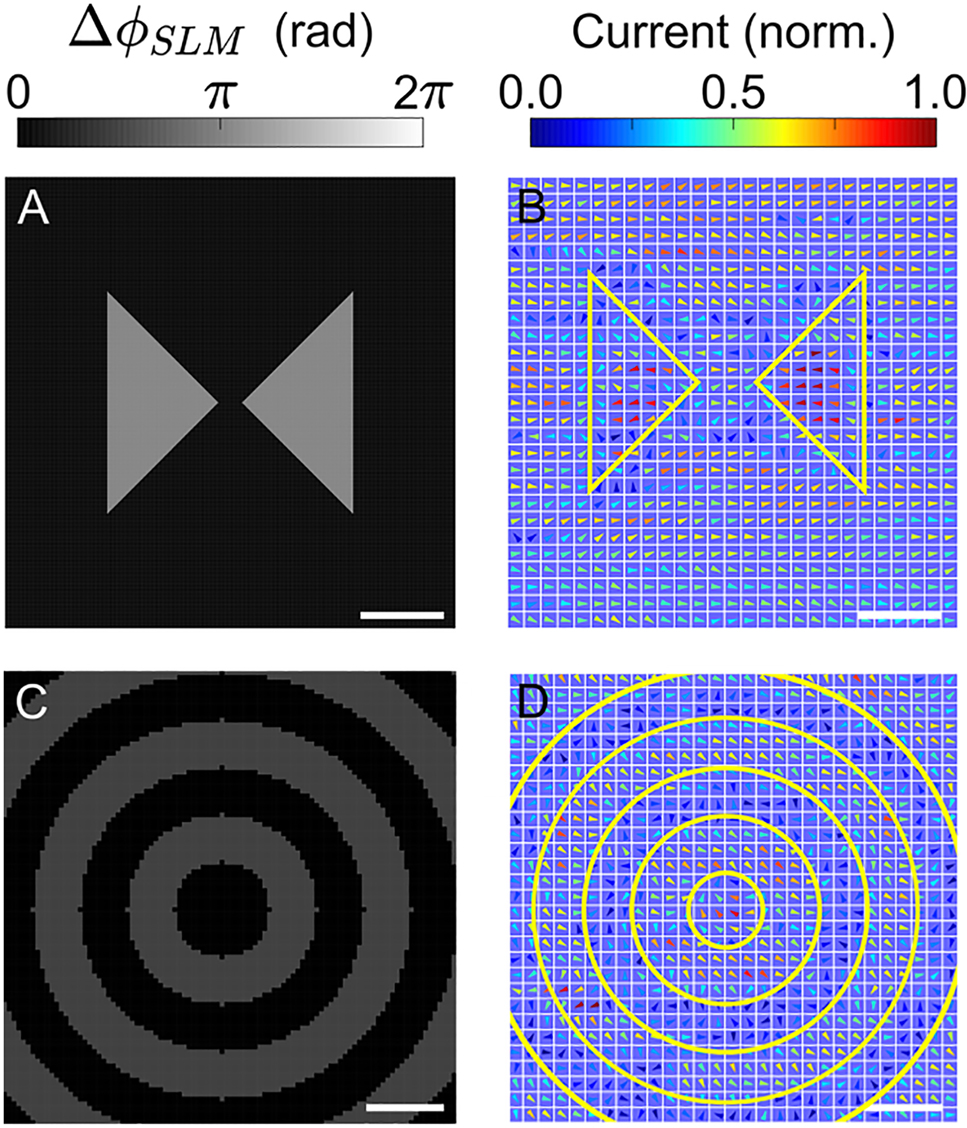 Teaser image from the article