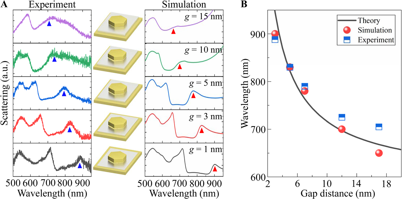 Figure 4: 
(A) Scattering spectra of hexagonal Au NPoMs (d = 180 nm) of various gap sizes. The left and right columns are the measured and simulated scattering spectra with triangles indicating the dispersion of RBM. The middle column depicts the NPoMs with different gap sizes. (B) Resonance wavelength of RBM as a function of gap size.
