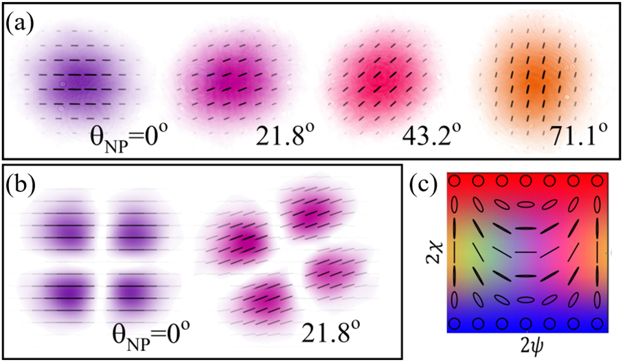 Teaser image from the article
