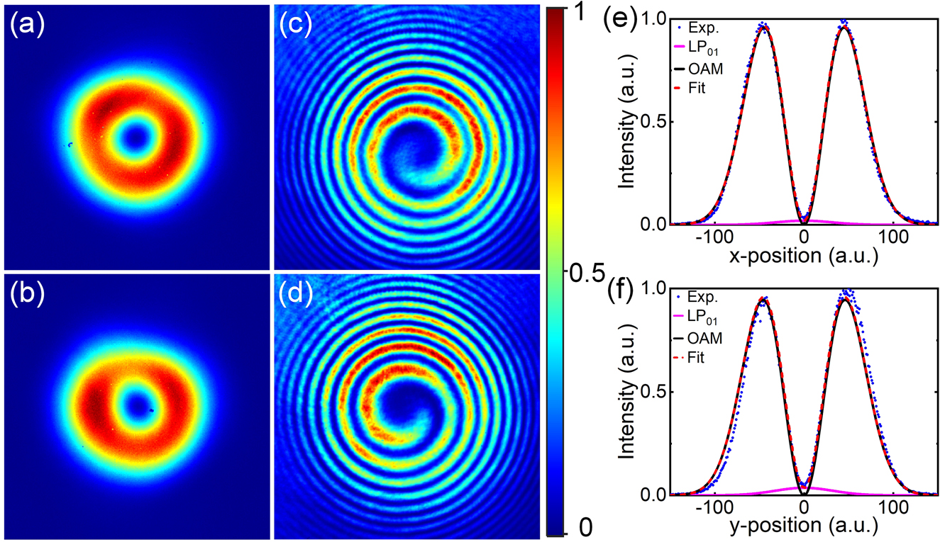 Figure 6: 
Measured far-field intensity distributions for the generated OAM beams with topological charge of (a) l=1 and (b) l=−1; (c) and (d) interference patterns of the corresponding beams; intensity distribution across the beam center along (e) horizontal and (d) vertical axis corresponding to the beams in (a) and (b), respectively. The blue dot curves are the measured intensity profiles, the solid dark curves and solid pink curves represent the theoretical intensity profiles of the OAM mode (|l|=1) and LP01 modes, respectively; the short dash red curves represent the incoherent superposition of the intensity profiles of the LP01 and OAM modes. 
