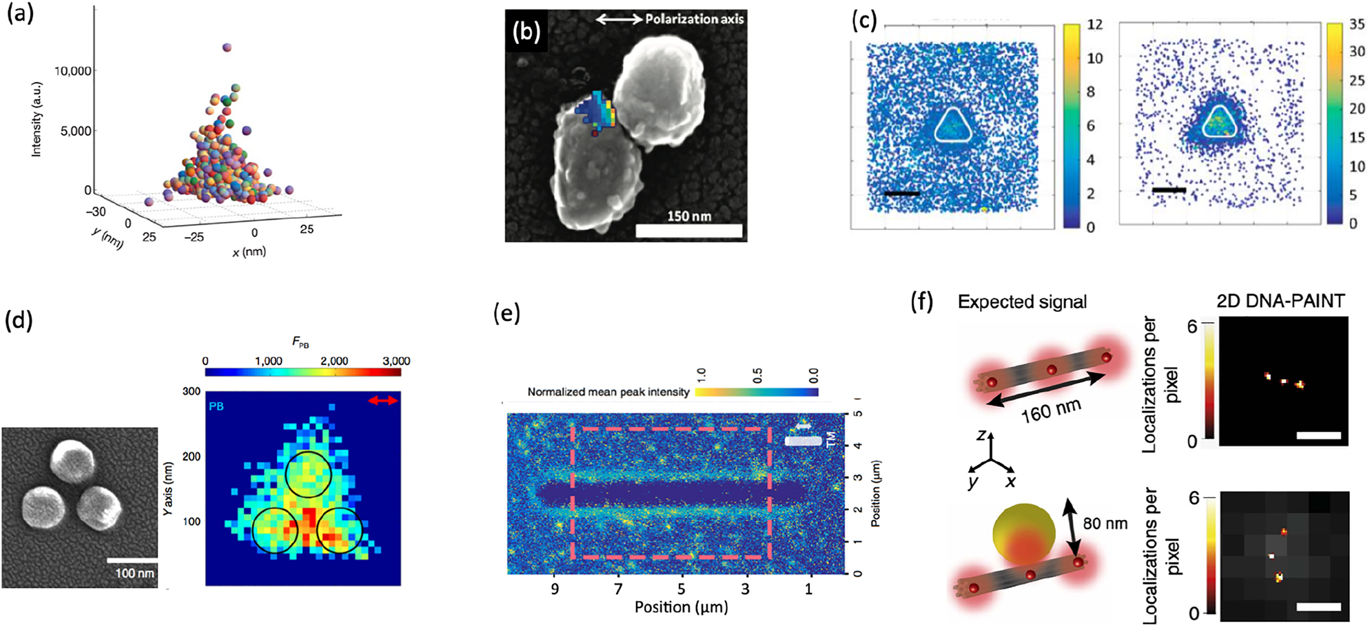Figure 5: 
Intensity-based single-molecule experiments to study light-matter interaction at the nanoscale.
(a) Super-resolved image of a hotspot on an aluminum film. Each dot indicates a single molecule detection. Adapted from [117]; (b) correlation between the SEM image and super-resolved fluorescence image of a colloidal silver structure for SERS. Adapted from [118]; (c) mapping of the fluorescence intensity of single molecules in the near-field of a nanotriangle for out-of-resonance (left) and in-resonance (right) conditions. Adapted from [122]; (d) SEM image of a three aluminum nanodiscs arranged on the apex of a triangle. Corresponding fluorescence intensity map obtained by single-molecule imaging of single molecules adsorbing at the surface of the structure. Adapted from [123]; (e) normalized intensity map for single molecules adsorbing to the surface of a 75 nm diameter silicon nanowire. Adapted from [124]; (f) DNA-PAINT image of three binding sites located at a distance of 80 nm one to the other in the presence (bottom) and in the absence (top) of a gold nanosphere. Adapted from [125].
