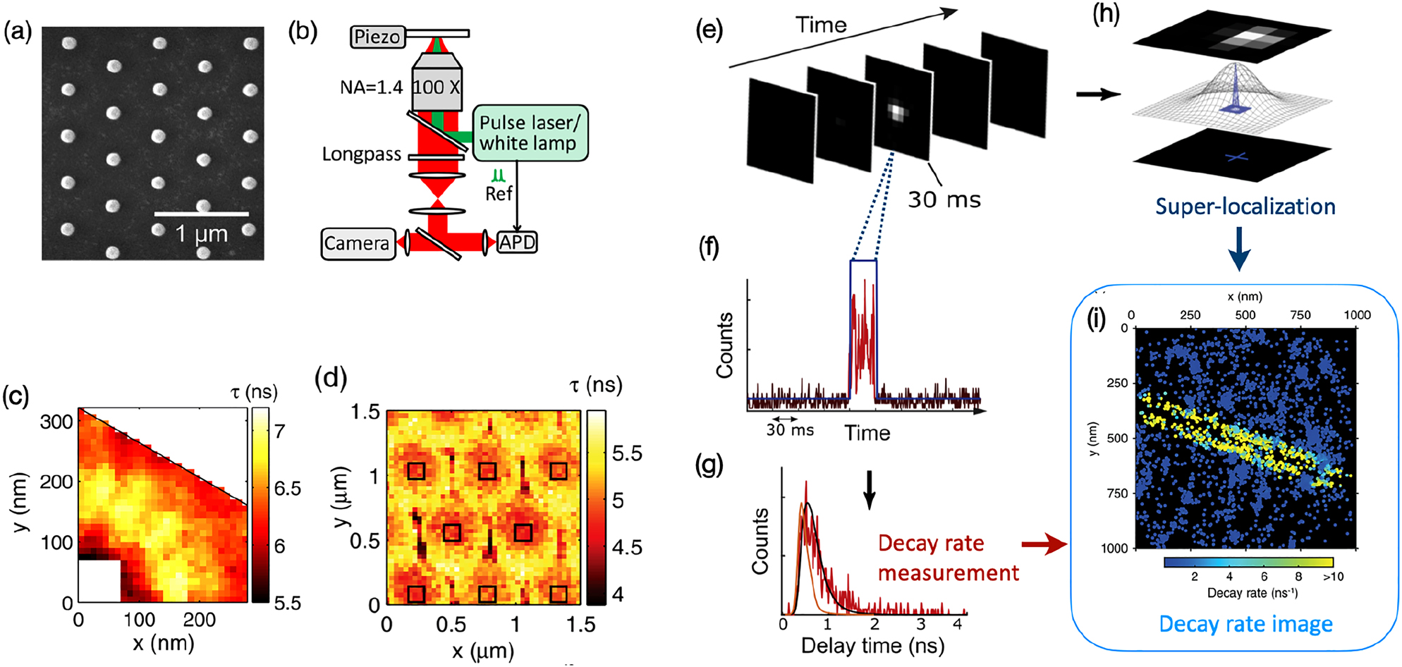 Figure 6: 
Lifetime-based single-molecule experiments to study light-matter interaction at the nanoscale.
(a–d) Super-resolved imaging of the decay rate in the near-field of a lattice of aluminum nanoantennas, adapted from [131]. (a) SEM image of a hexagonal lattice of aluminum nanoantennas. (b) Sketch of the experimental setup. (c) Fluorescence lifetime map, obtained with 40 nm fluorescent spheres randomly spread on the sample, of the unitary cell around a nanoantenna. The white square delimits the boundary of the nanoantenna. (d) Fluorescence lifetime map obtained with a SNOM tip, adapted from [131]. (e–i) Illustration of smFLIM applied on a silver nanowire, adapted from [132]. A sequence of EM-CCD frames is acquired (e). The bright spot in the central frame is the PSF of a single molecule. The PSF is fitted with a Gaussian fit and its center is located with a precision of about 10 nm (h). Simultaneously, half of the photons emitted by the molecule are detected on a time-resolved SPAD and a TCSPC device allows to extract the decay rate of the fluorescent emission (f and g). By combining the information on the position and decay rate of each molecule one can reconstruct the decay rate image in the near-field of a silver nanowire (i).
