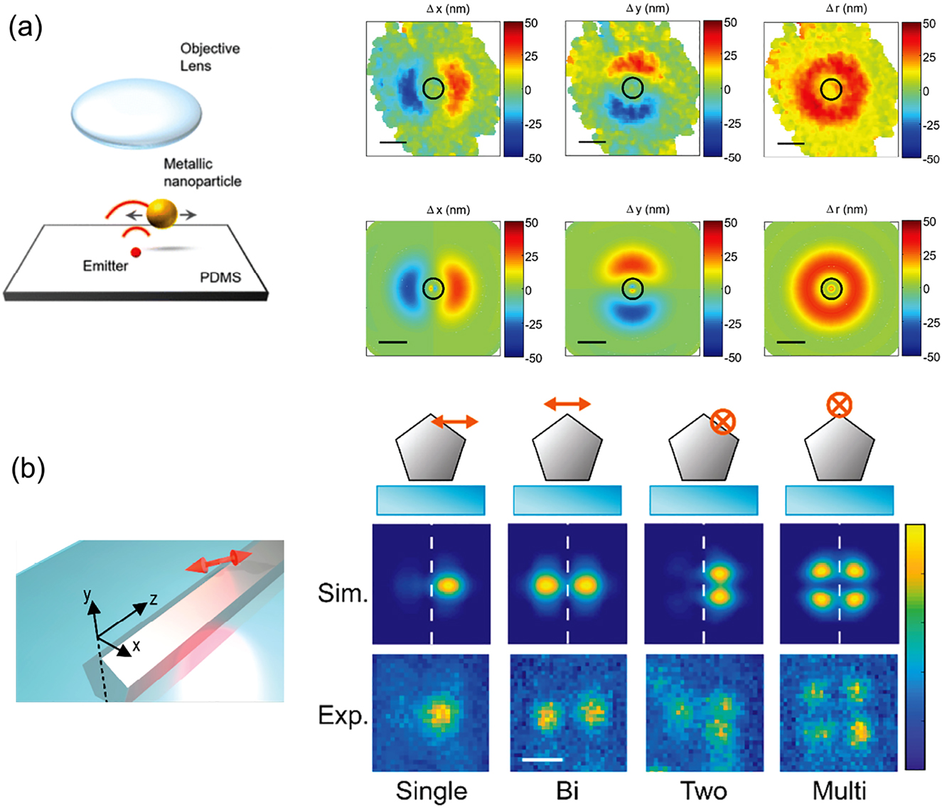 Figure 7: 
Evidence and analysis of systematic errors in superresolution localization microscopy due to strongly scattering nanophotonic environments.
(a) Lim et al. [136] used an immobilized emitter in microscope focus while tracking a plasmonic nanoparticle moving around it in order to have a ground truth against which to benchmark PSF-based emitter localizations. The panels show as color scale the difference between retrieved and ground truth coordinate (along horizontal x, y, and total distance r) in measurement and according to simulation. Scale bars are 200 nm. Adapted from ref. [136]. (b) Baiyasi et al. [139] provide clear observation of the dramatic change of PSFs for emitters near a nanostructure. Instead of simple Gaussian-like PSFs this includes multi-lobed PSFs. Calculations show similar PSFs, which vary rapidly with molecule position and dipole moment orientation as indicated. Adapted from ref. [139]
