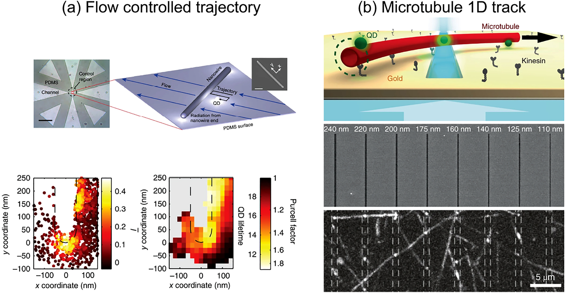 Figure 8: 
Strategies to improve super-resolution mapping of nanophotonic structures.
They include microfluidic flow control (a) to controllably move quantum dots over a nanophotonic system, and (b) constraining sources to move over 1D tracks by attaching quantum dots to motor proteins that walk over microtubules. The method in (a) approaches the notion of a controllable scanning source, as envisioned originally in the NSOM community. The results [130] show mean fluorophore brightness Ī$\bar{I}$ and the quantum dot decay rate as function of position next to a plasmonic nanowire (photons are collected from the nanowire ends). The approach of Groß et al. [129] leverages the fact that quantum dots constrained to 1D trajectories, defined by randomly deposited microtubules, can be accurately tracked. The sample in this work consisted of 1D slits in a metal film, illuminated from below and imaged from above. This method is mainly suited to measure the nanophotonic properties of translation invariant systems across 1D cross sections. Panels adapted from [129, 130].
