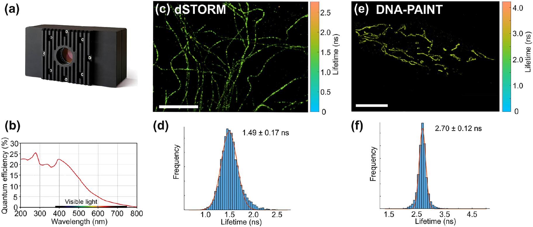 Figure 11: 
Fluorescence-lifetime SMLM using a wide-field imaging setup.
(a) Commercially available TCSPC camera LINCam (Photonscore). (b) Quantum yield of the LINCam camera. (c) dSTORM FL-SMLM image of microtubules in hMSC labeled with Alexa 647. Scale bar is 5 μm. (d) Lifetime histogram extracted from individual single-molecule localizations in image (b). (e). DNA-PAINT FL-SMLM of mitochondria in HeLa cells labeled with Cy3b. Scale bar is 10 μm. Lifetime scale bars are shown on the right of images (c) and (e). (f). Lifetime histogram extracted from single-molecule localizations in image (e). Data was fitted with single Gaussian distributions. Average lifetime and standard deviation values are shown. The images in (a) and (b) are reprinted with permission of Photonscore GmbH.
