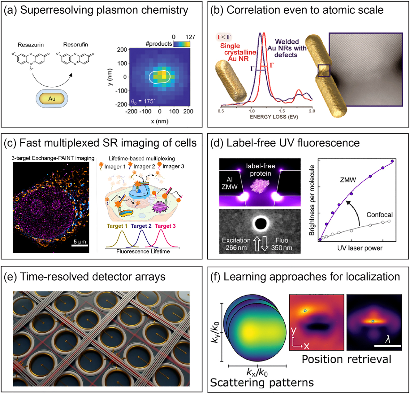 Figure 12: 
Outlook for SMLM in nanophotonics and biophysics.
(a) Super-resolved plasmon chemistry at the single-molecule level (adapted from [194]). (b) Correlative microscopy at the atomic scale on gold nanorods (adapted from [195]). (c) Super-resolved in cellulo biochemistry (adapted from [83]). (d) Enhancing label-free UV fluorescence of proteins with ZWGs (adapted from [44]). (e) Artist view of a SPAD array (adapted from [196]). (f) Learning approaches to localization based on a library of diffraction patterns measured by Fourier microscopy (adapted from [113]).
