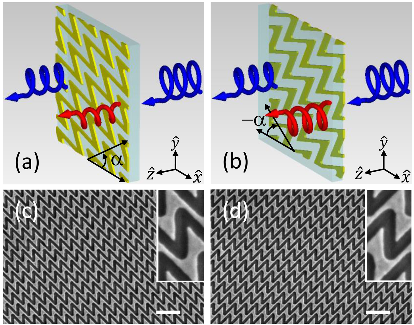 Teaser image from the article