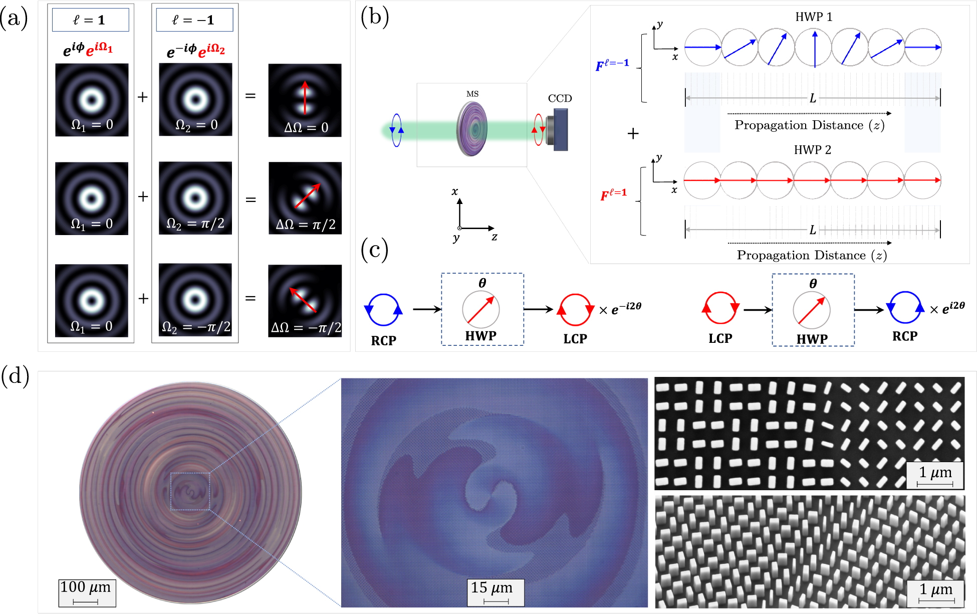 Teaser image from the article