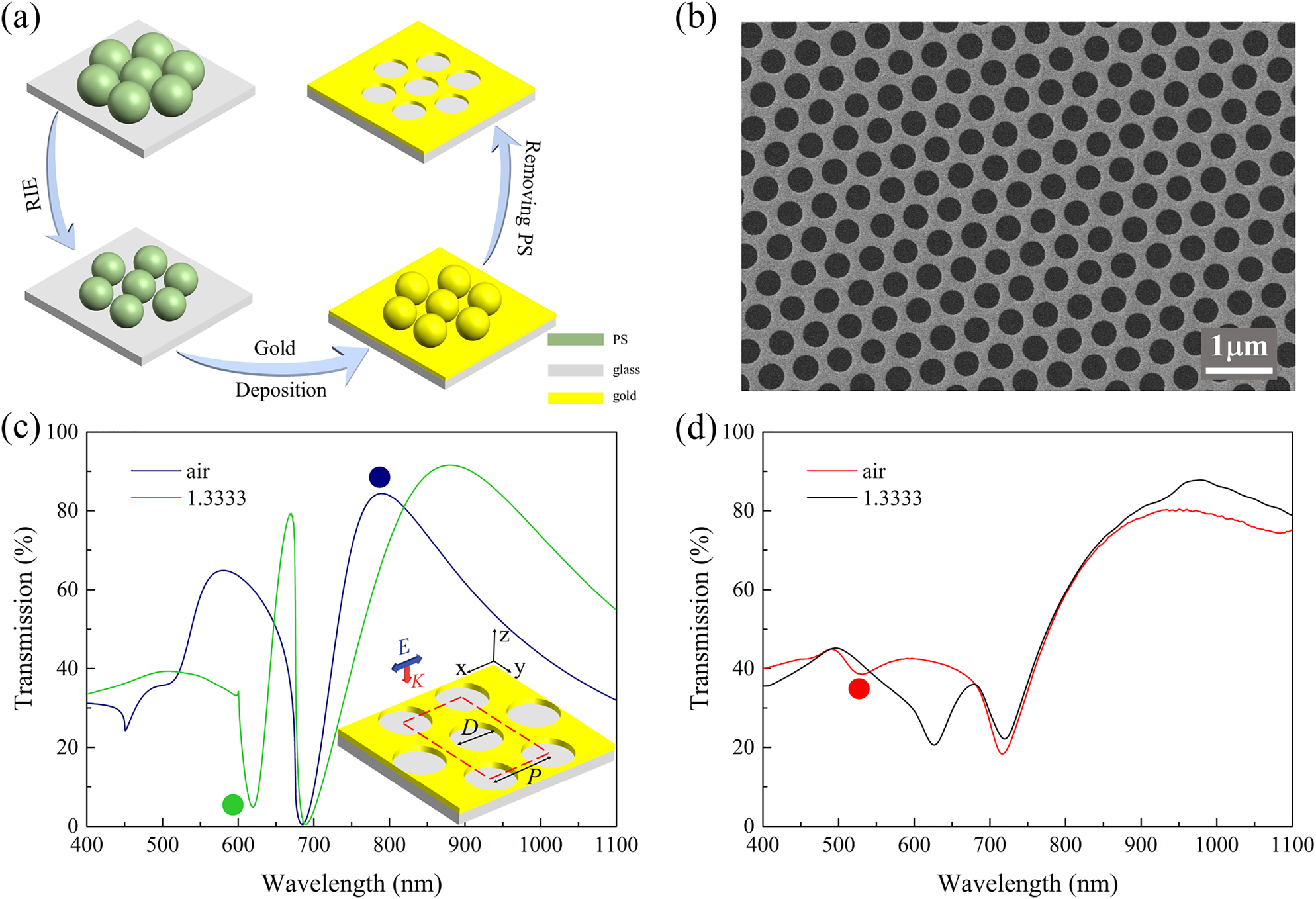 Figure 1: 
Fabrication and optical characterization of GNAs. (a) Schematic of the fabrication process of GNA. (b) A representative SEM image of the nanohole arrays (D = 350 nm). The simulated (c) and experimental (d) transmission spectra of the GNA (p = 520 nm, D = 350 nm) in air (n = 1) and water (n = 1.3333). Inset in Figure 3c: geometrical configuration of the GNA. D represents the diameter of the nanohole, and P represents the period of the array. E and k are the polarization and propagation directions of the incident light source. The color dots denote spectra features of peak at 789 nm (blue dot), dip at 619 nm (green dot) in (c) and a shallow dip at 531 nm (red dot) in (d).
