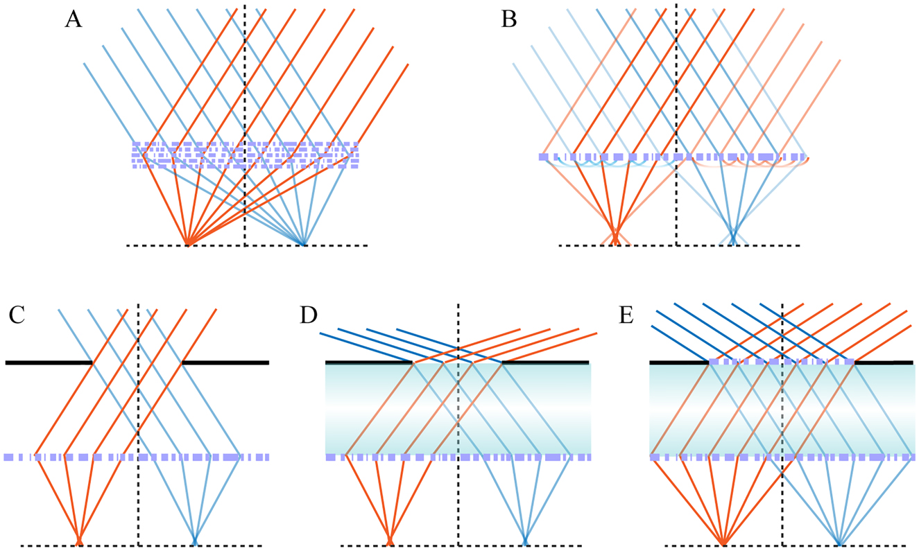 Figure 2: 
Schematic diagrams of several basic configurations for sing-chip wide-angle metalenses. The red and blue lines represent the light rays with different incidence angles.
(A) Optimized multi-parametric geometries. (B) Monolayer quadratic metalens. (C) Landscape quadratic metalens using an air gap. (D) Landscape quadratic metalens using a dielectric gap. (E) Metalens doublets.
