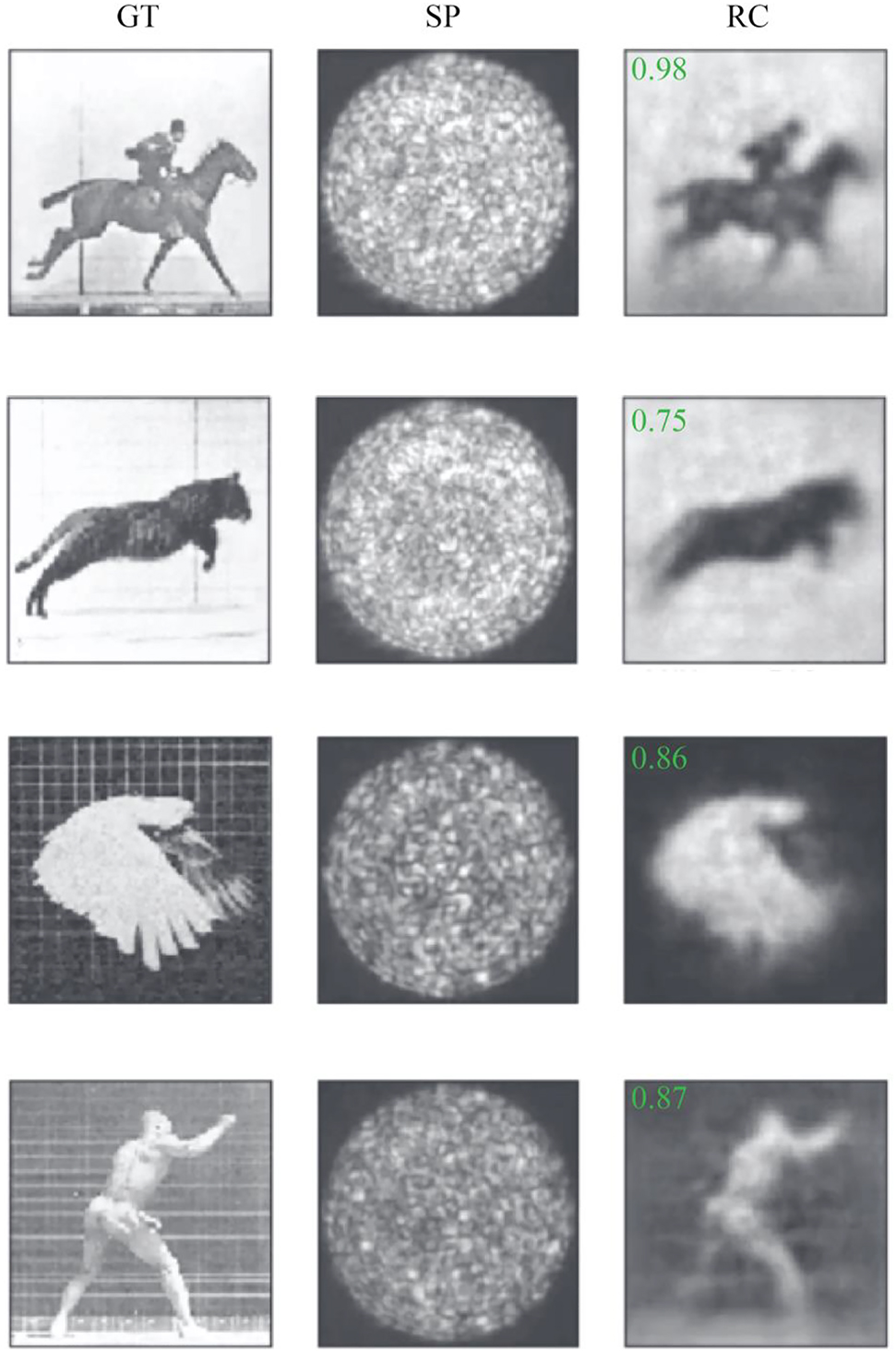 Figure 3: 
Performance of the network in reconstruction of the input amplitude from the output amplitude speckle patterns when the DNN is trained with natural images. The figure is adopted from [46] with modifications. The performance metric (2-dimensional Pearson correlation between the GT images and RC images) are shown as inset.

