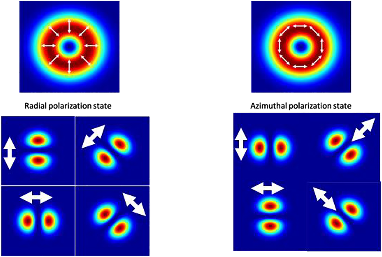 Figure 1:
Calculated intensity distribution of beams with radial and azimuthal polarization states (top) together with the recorded intensity distribution transmitted through a polarization analyzer with its axis oriented at 0°, +/−45° and 90° (bottom).