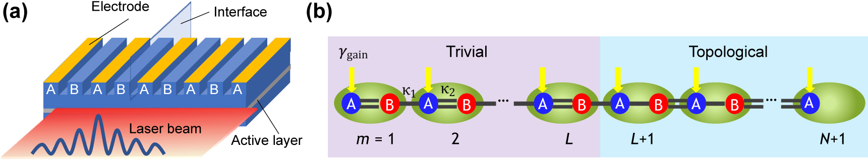 Figure 1:
Investigated topological edge-mode array laser.
(a) Schematic of the investigated topological laser structure. (b) Tight-binding model of the laser structure. An edge mode deterministically emerges at the interface of the two topologically distinct photonic lattices. N and L correspond to the total number of dimers and the number specifying the topological phase boundary, respectively. Note that there exists a single auxiliary site at the end of the topological chain. κ
1 (single line) and κ
2 (double lines) indicate weak and strong coupling strengths between neighboring sites, respectively. γ
gain expresses gain supplied on A-site. The application of this tight binding model to the system described in (a) would be valid as long as the longitudinal cavity modes behave independently or when assuming arrays of cavities supporting only single longitudinal mode such as λ/4-shifted distributed feedback resonators.