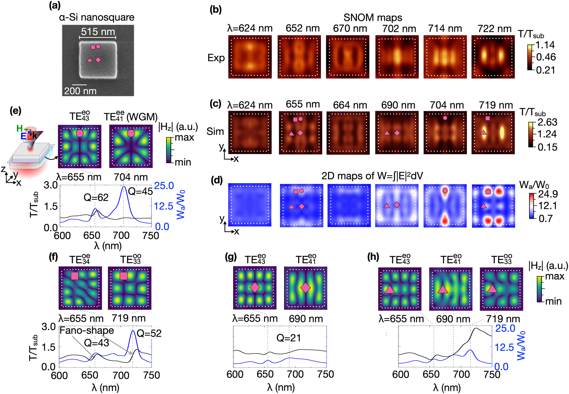 Figure 2: 
(a) SEM image of the α-Si nanosquare. The side length is 515 nm, and the thickness is 96 nm. Experimental (b) and simulated (c) SNOM maps of the α-Si nanosquare at different wavelengths. The polarization of the light incident on the SNOM probe (blue arrow) is directed along the y-axis. (d) Simulated 2D maps of electric field localization W
a
/W0 at the same wavelengths of the SNOM maps in (c). The circle (x = 0 nm, y = 220 nm), square (x = 80 nm, y = 200 nm), diamond (x = 0 nm, y = 0 nm), and triangle (x = 120 nm, y = 0 nm) symbols on 2D maps in (a), (c), and (d) depict the SNOM probe positions corresponding to maxima of electric field localization. (e–h) The simulated SNOM transmittance T/T
sub (black curves) and electric field localization W
a
/W0 (blue curves) spectra recorded at the fixed positions of the SNOM probe marked as purple symbols on SNOM (c) and W
a
/W0 (d) maps. The top rows in (e–h) show the simulated |H

z
| distributions of 




T
E


m
n


i
j




${\mathrm{T}\mathrm{E}}_{mn}^{ij}$



 optical modes. The |H

z
| field was taken at central xy-cross-sections of the nanosquare as shown in the sketch in panel (e). Dotted white lines indicate the boundary of the nanosquare.
