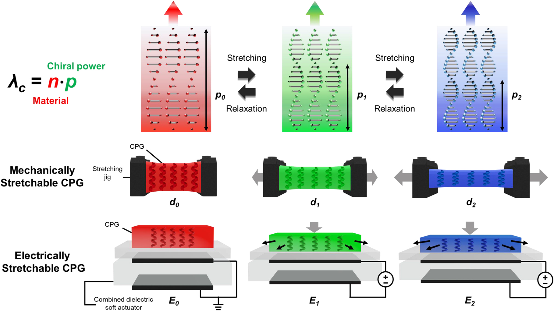 Figure 1: 
A schematic showing the photonic stopband wavelength-tuning mechanisms of electrically stretchable CPGs.
