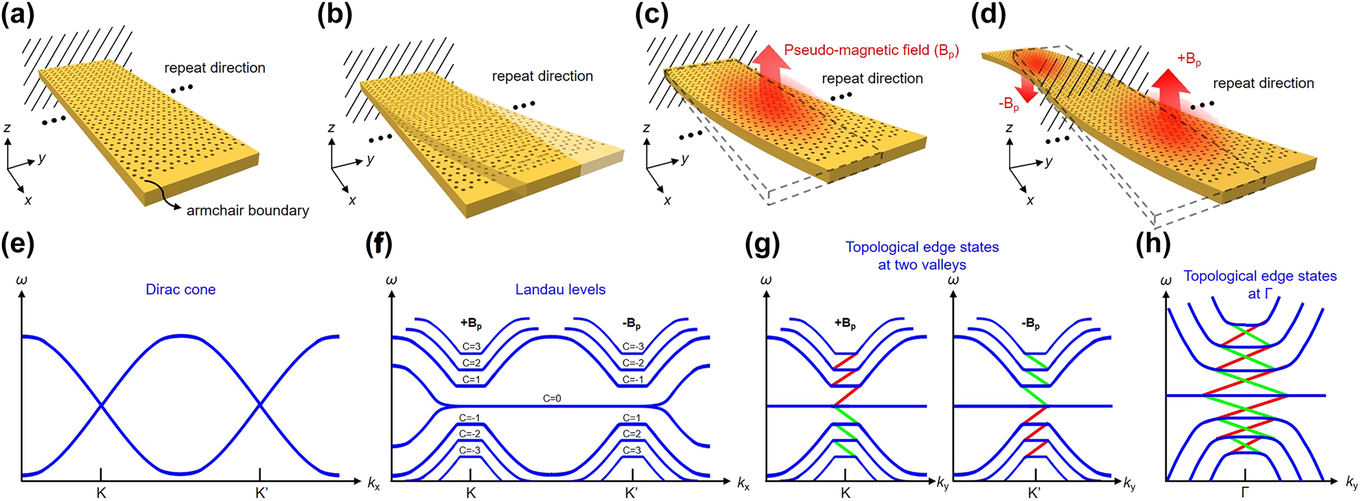 Figure 1: 
The schematic diagrams of deformation processes of a membrane containing honeycomb superlattice.
(a) Before applying the strain constituted by shifting the lattice arrangement, a membrane with a honeycomb lattice is fixed like a cantilever beam. (b) After applying the strain, the membrane is deformed along the y-axis with one end fixed. (c) A synthetic vector potential is produced by the continuously distributed strain, and its curl can define a pseudo-magnetic field B
p. (d) A chiral structure, which is composed of two patterns with opposite pseudo-magnetic fields. (e) The band diagram of the membrane before applying the strain, and two Dirac cones exist at the K and K′ valley. (f) After applying the strain, bands split into several Landau levels, and a local bandgap appears in the band diagram. Also, the corresponding valley Chern numbers (C) are indicated in this figure, and the central flat band represents the 0th photonic Landau level. (g) The band diagram of the chiral structure. After the combination of two patterns with opposite pseudo-magnetic fields, topological edge states appear between each Landau level at the K and K′ valley, where the red and green solid lines are indicated as the spin-up and spin-down edge states, respectively, and the photon spin is defined by the direction of the circular polarization. (h) Topological edge states at the K and K′ valley are simultaneously projected to the Γ point based on Bloch’s band theory because the direction of lattice arrangement along the x-axis of the membrane is along the zigzag.
