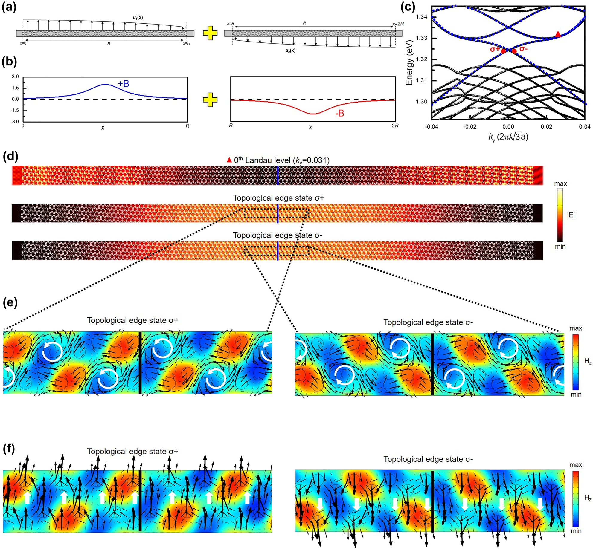 Figure 4: 
Strain-induced topological edge states.
(a) The schematic diagram of the combination of the chiral structure, which is composed of two strained patterns with (b) the pseudo-magnetic field in opposite directions. (c) The band diagram of the chiral structure, which fixes u
max as 500 nm. (d) The corresponding electric field distribution of topological edge state σ+ and σ− signed as circular points in c, and the electric field distribution of the 0th photonic Landau level at 0.031 of k

y
 signed as a triangular point in (c). (e) The distribution of H

z
 component, where the black arrows indicate the distribution of the in-plane electric field. (f) The distribution of H
z component, where the black arrows indicate the distribution of the Poynting vector.
