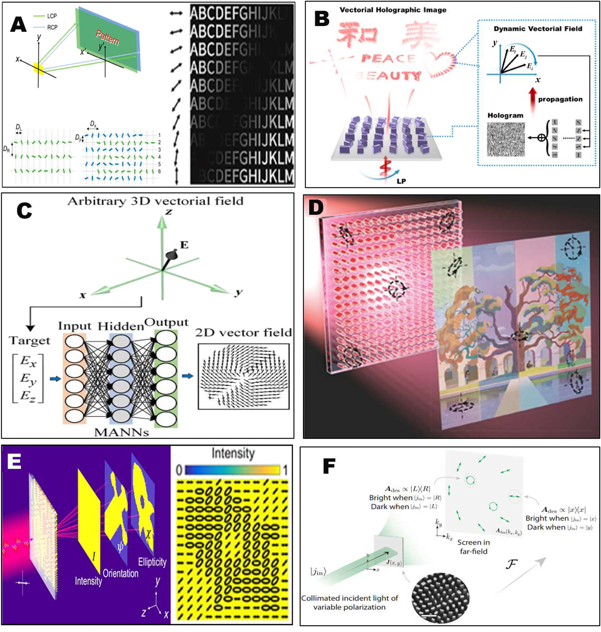 Figure 2: 
Vectorial holography with continuously modulated polarization distribution.
(A) Left: LCP and RCP beams reflected from the metasurface form two identical holographic images but with a spatially continuous phase difference. The unit cell of metasurface. Right: vectorial holographic image with spatial continuous linear polarization distribution [99]. (B) The dynamic display of vectorial meta-holography with 4-fold degeneracy by selecting the desired linear polarization combination continuously [100]. (C) A neural network approach used for constructing a continuous 3D vectorial field in the image space from the 2D vector field distribution in the hologram plane [101]. (D) A metasurface vectorial hologram projecting the full polarization parameters encoding an RGB image [65]. (E) Vectorial Fourier metasurface of arbitrary far-field light distribution of intensity and continuous polarization distribution [66]. (F) The Jones matrix holograms whose far-fields have designer-specified waveplate or polarizer responses [67].
