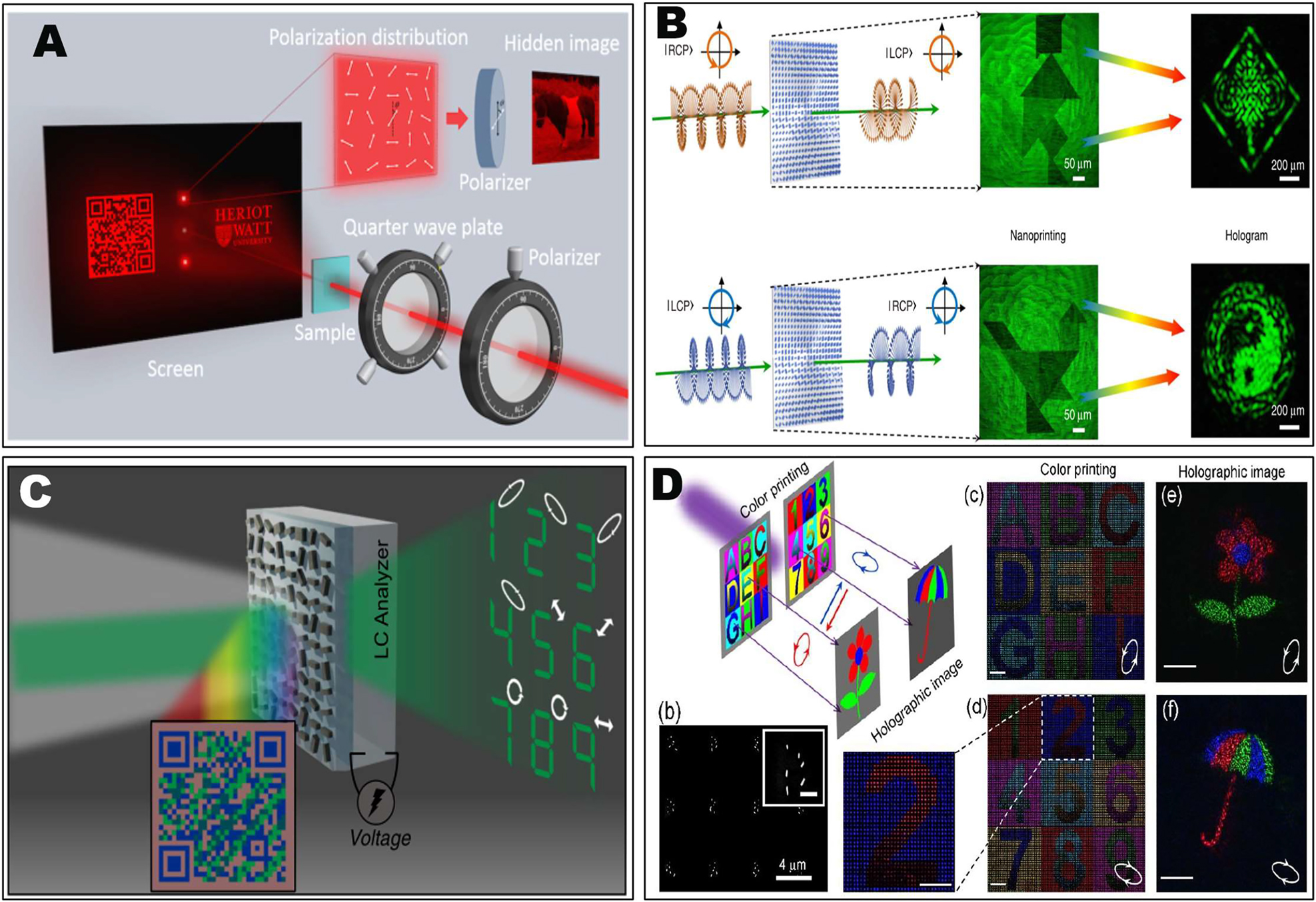 Figure 4: 
The combination of near-field image encoding and far-field vectorial holography.
(A) The multichannel metadevice that combines holographic images and a grayscale image nanoprint for anticounterfeiting and encryption [134]. (B) A four-channel TiO2 metasurface device that generates grayscale nanoprinting-hologram images under the illumination of RCP and LCP, respectively, in the near field and far field [135]. (C) A bi-functional metasurface that combines structural color printing and vectorial holography [136]. (D) A silicon metasurface realizes two independent full-color printed images and vectorial holograms [137].
