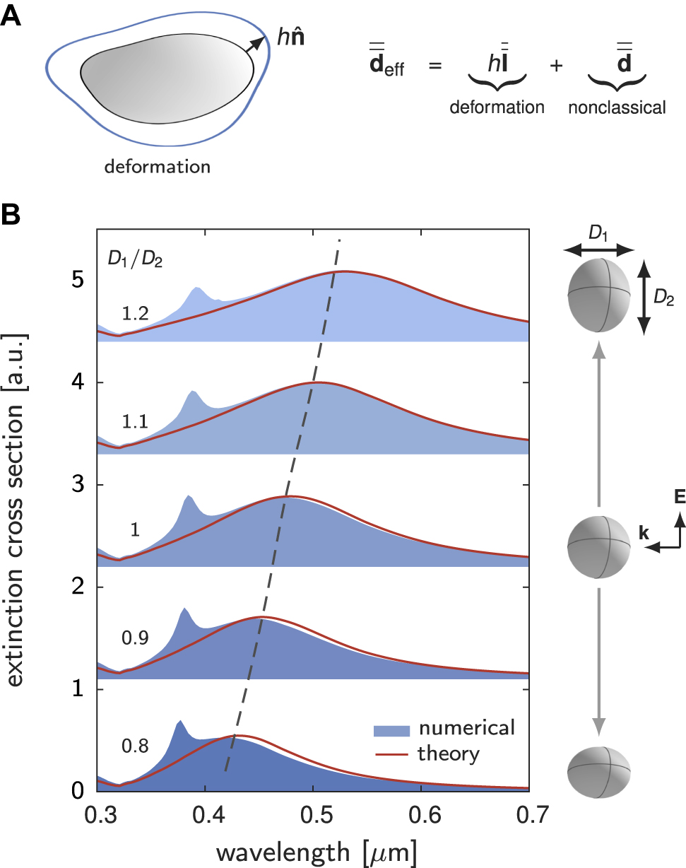 Figure 4: 
Modal analysis of geometrically deformed nanoparticles.
(A) Optical response of a deformed nanoparticle can be effectively represented by introducing a generalized d-parameter, 








d

̄


̄



eff




${\bar{\bar{\mathbf{d}}}}_{\text{eff}}$



. (B) Extinction cross-section spectra of Ag spheroids embedded in a dielectric medium with a refractive index of 1.33. In the modal method, a single dipolar mode (polarized in the direction of the incident electric field) of the sphere is used to predict the extinction spectra of spheroids with D
1 = 100 nm and D
2/D
1 varied from 0.8 to 1.2. The retardation series in Eq. (6a) is truncated to the power k = 5.
