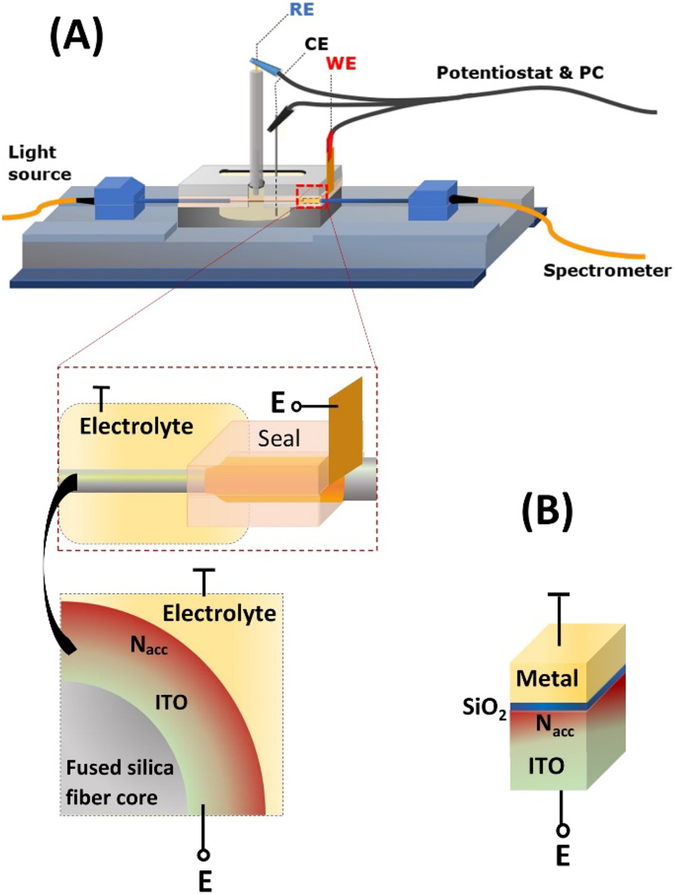 Figure 1:
Schematic representation of (A) experimental setup for combined optical and EC analysis with the investigated ITO-coated optical fiber structure and part of its cross-section. In (B) electrically equivalent model of the optical structure is schematically shown, where a monolayer of SiO2 was introduced on ITO to represent oxidation of the film surface.