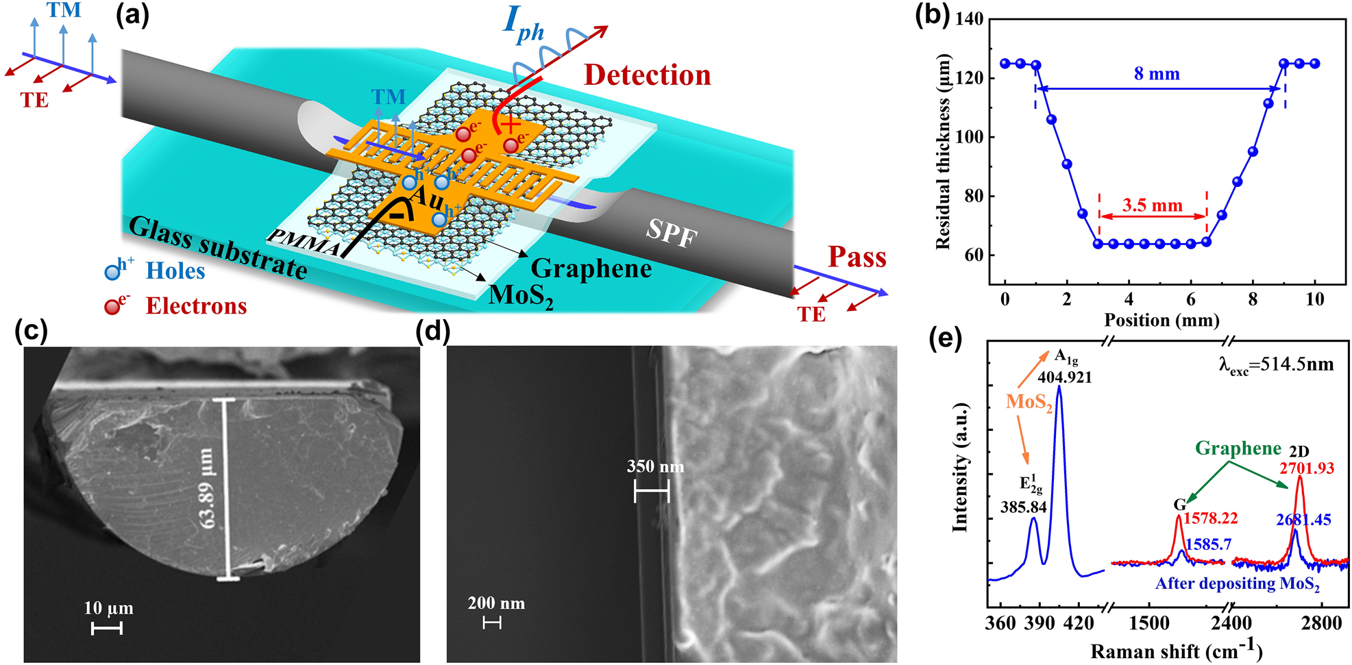Teaser image from the article