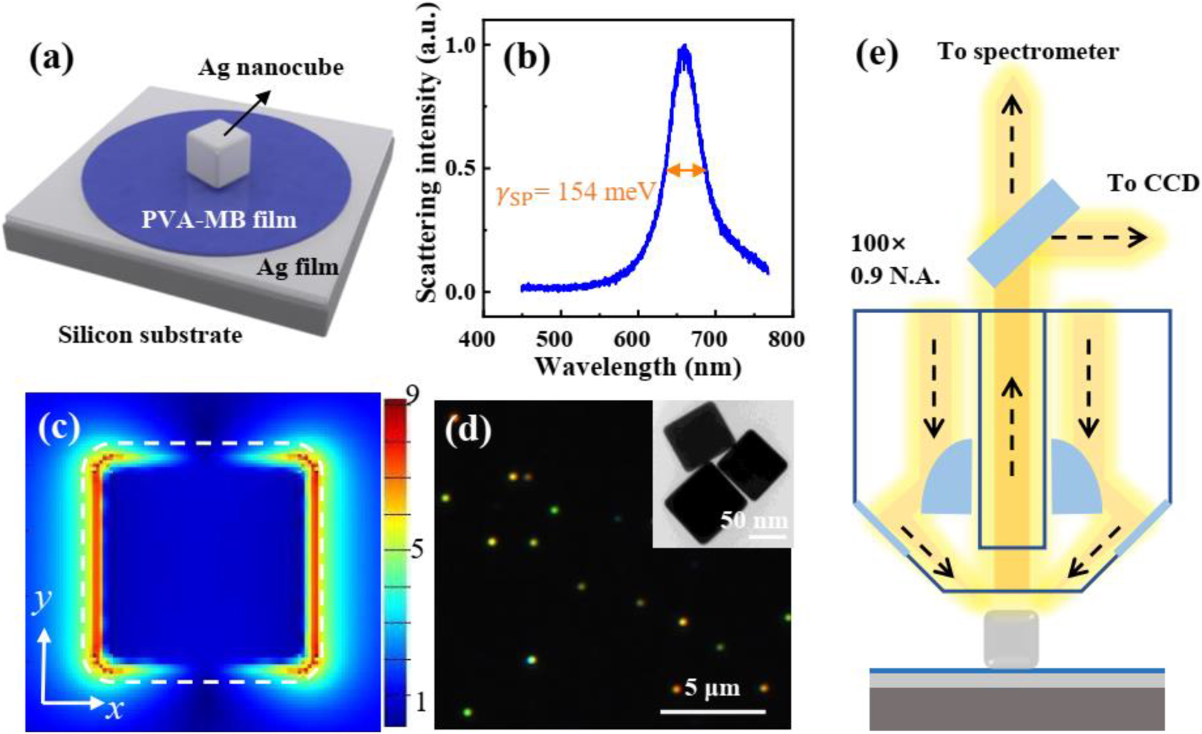 Teaser image from the article